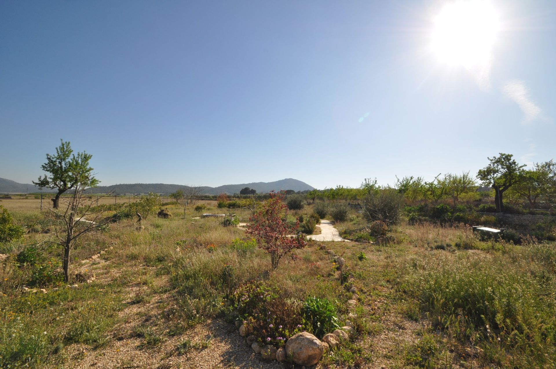 房子 在 les Salines d'Elda, Comunidad Valenciana 10962474