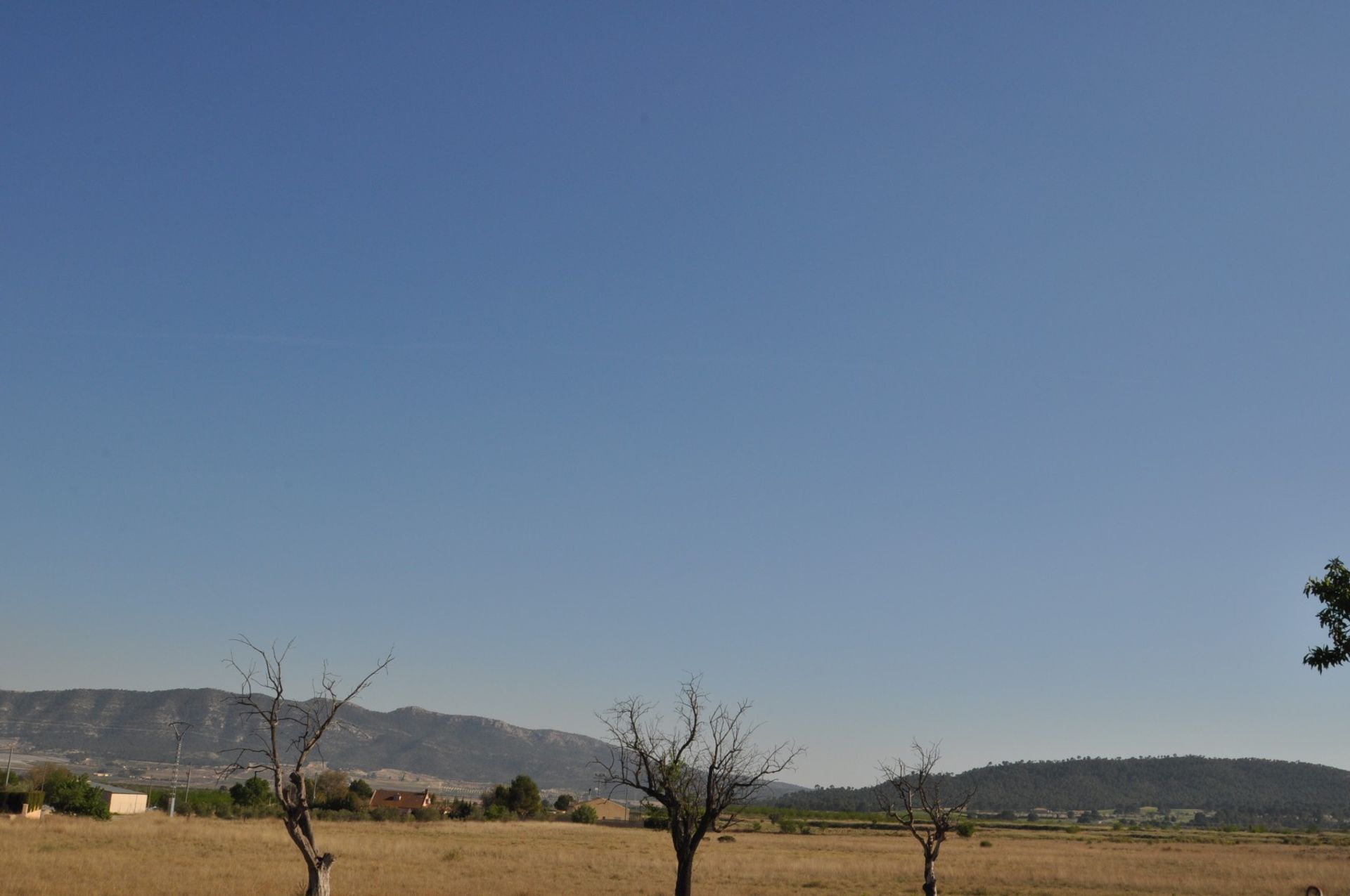 房子 在 les Salines d'Elda, Comunidad Valenciana 10962474