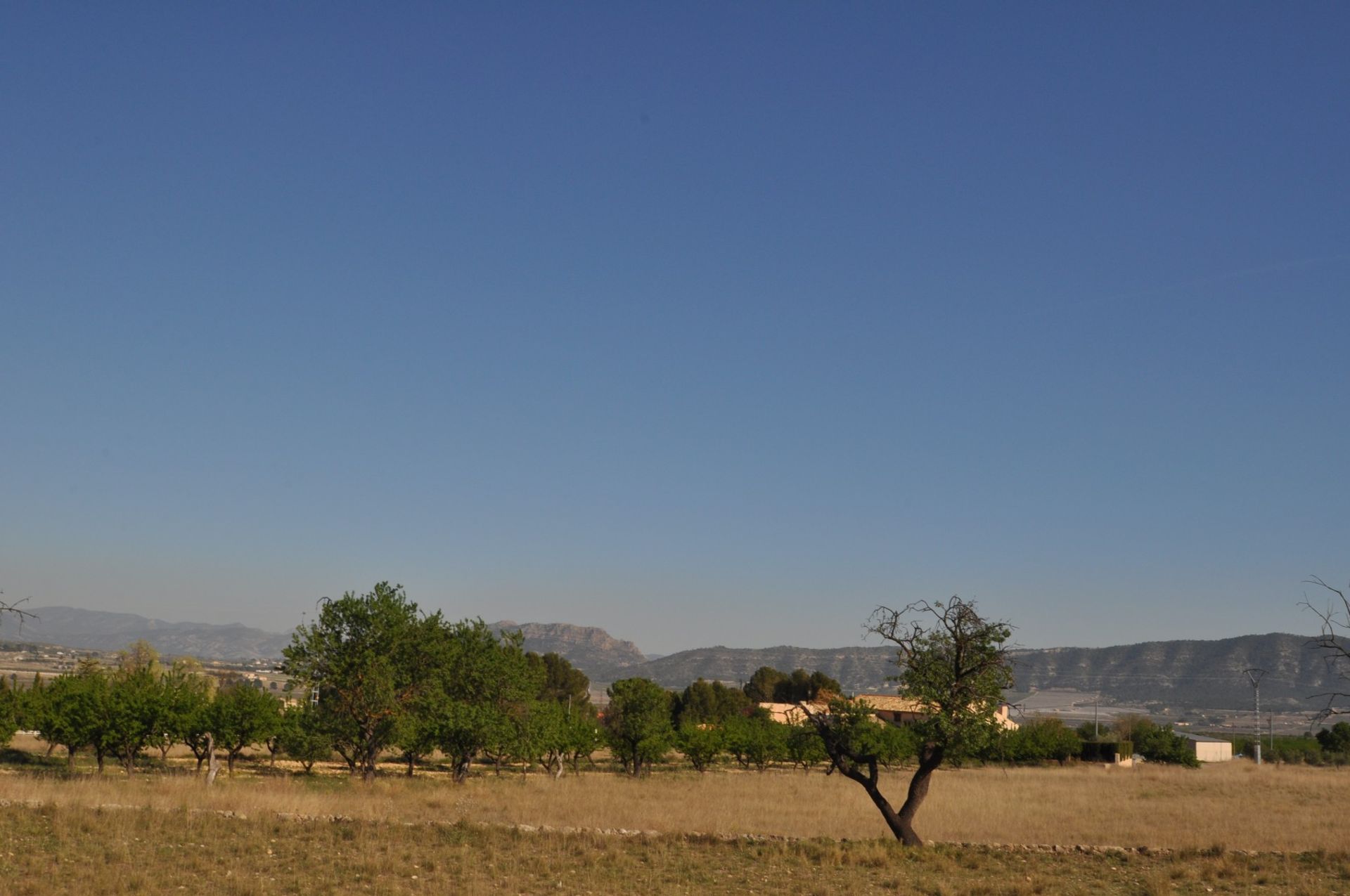 房子 在 les Salines d'Elda, Comunidad Valenciana 10962474