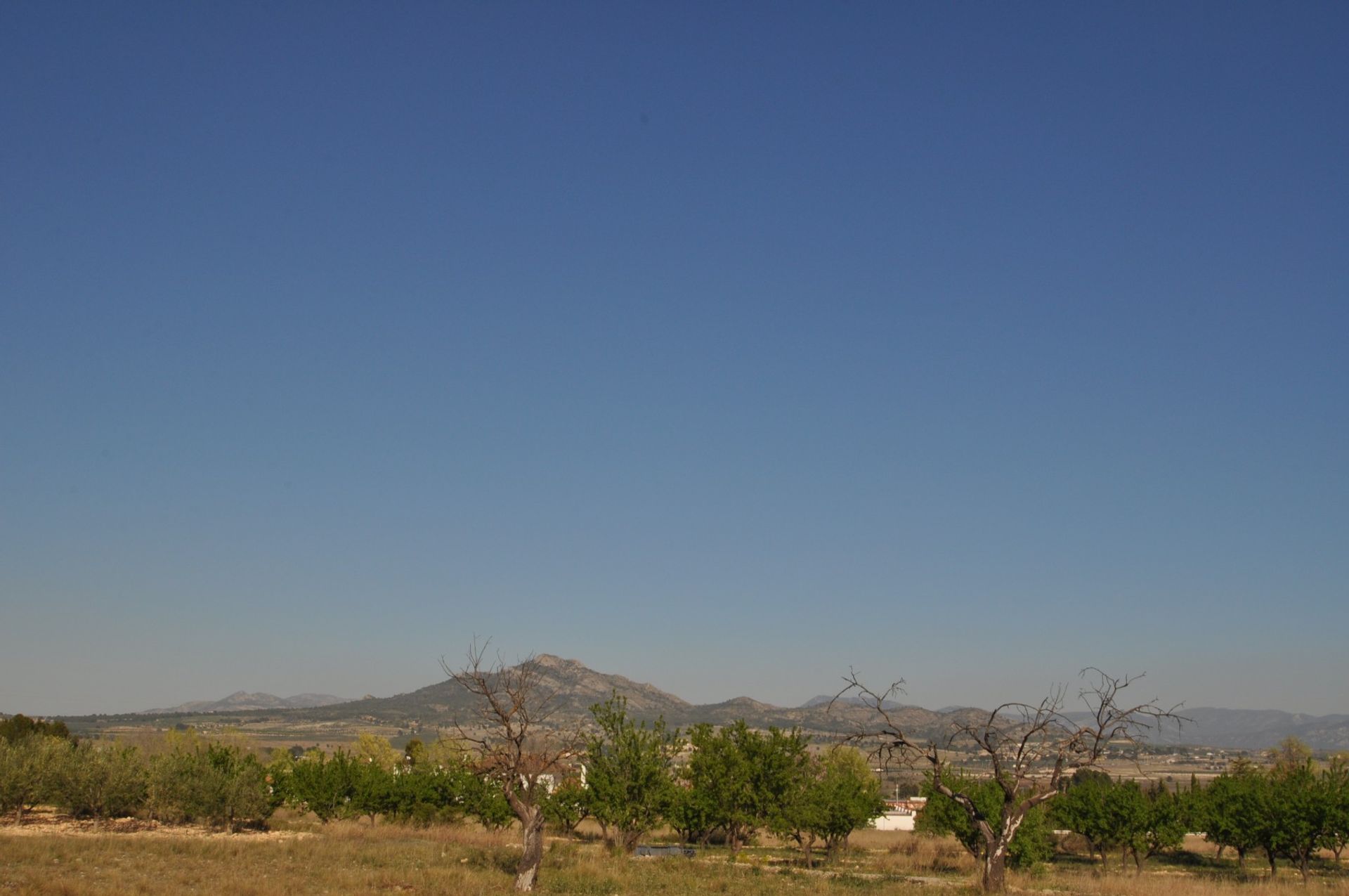 房子 在 les Salines d'Elda, Comunidad Valenciana 10962474