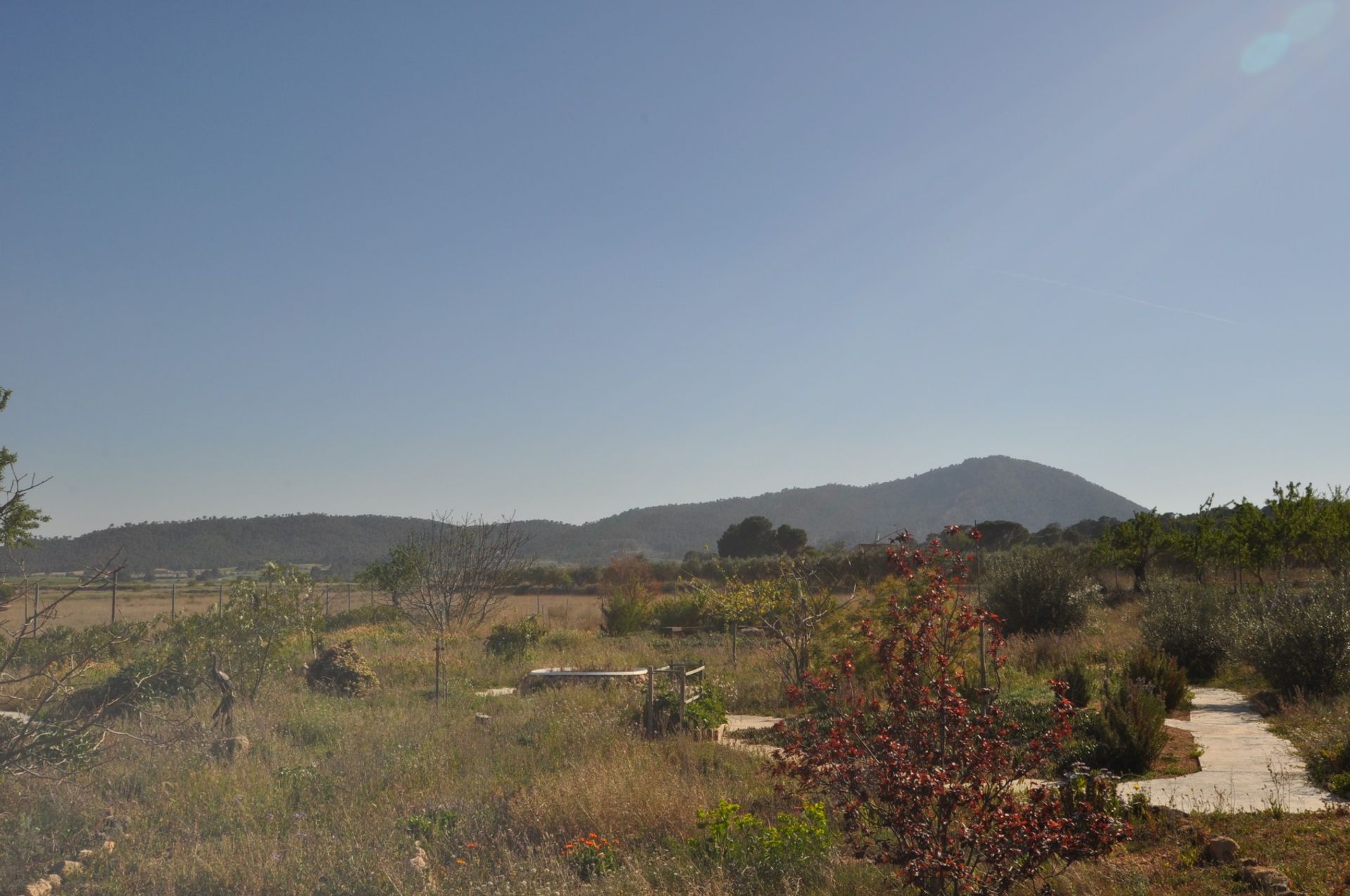 房子 在 les Salines d'Elda, Comunidad Valenciana 10962474