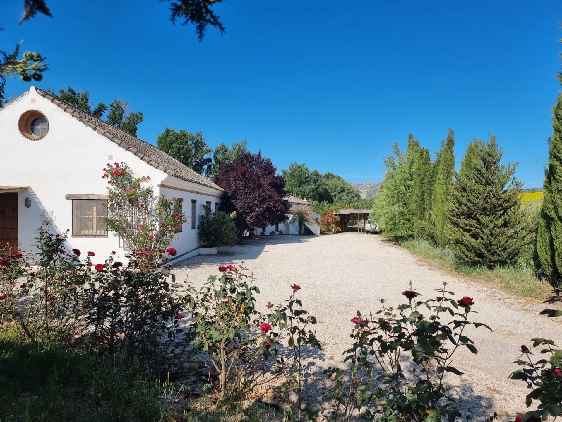 House in Ronda, Andalucía 10962552