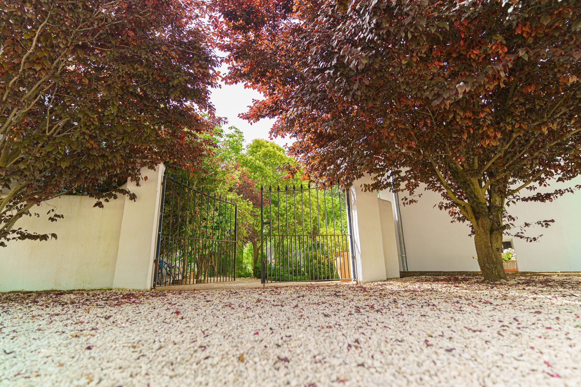 House in Ronda, Andalucía 10962552