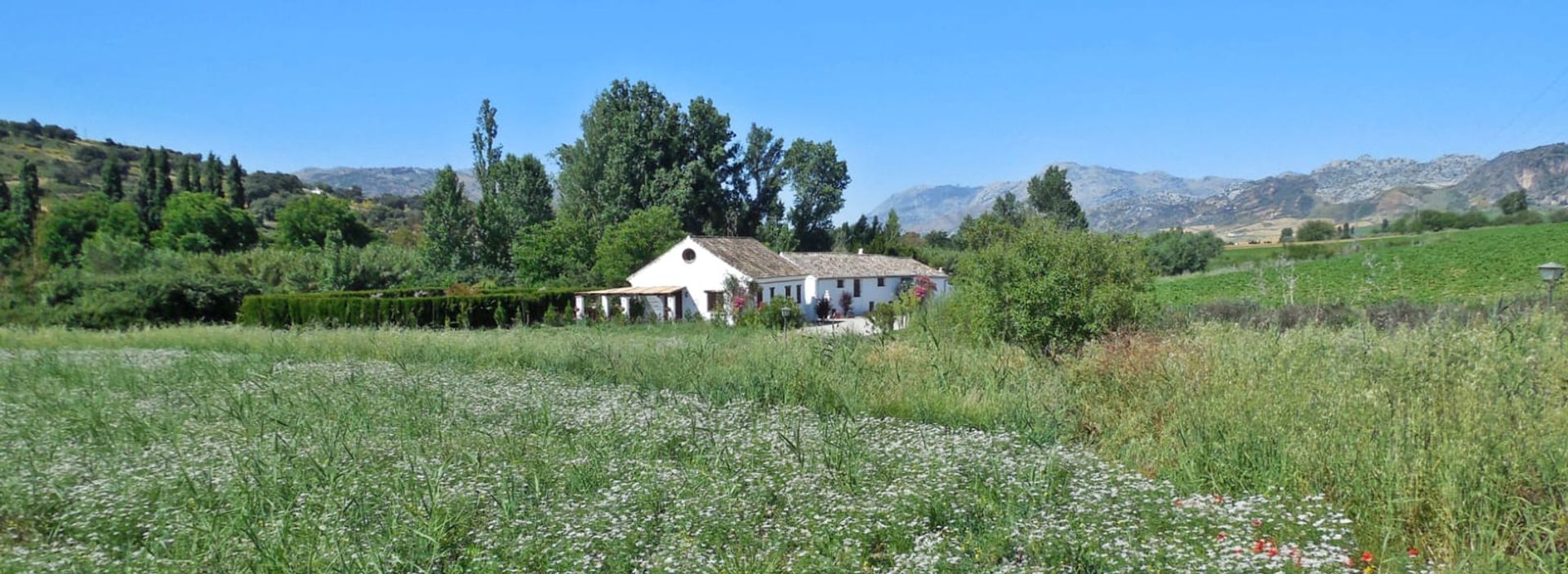 rumah dalam Ronda, Andalucía 10962552