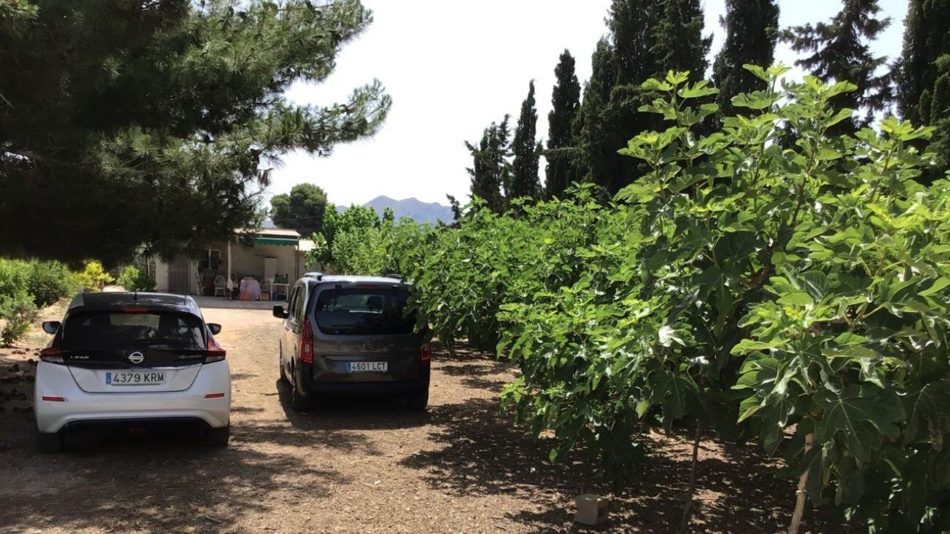 Land in Santomera, Región de Murcia 10962801