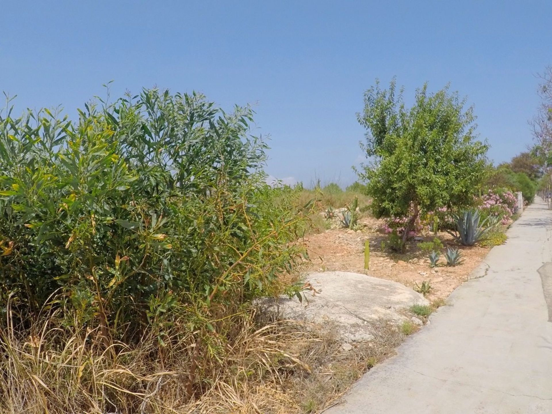 Tanah dalam Jávea, Comunidad Valenciana 10962840