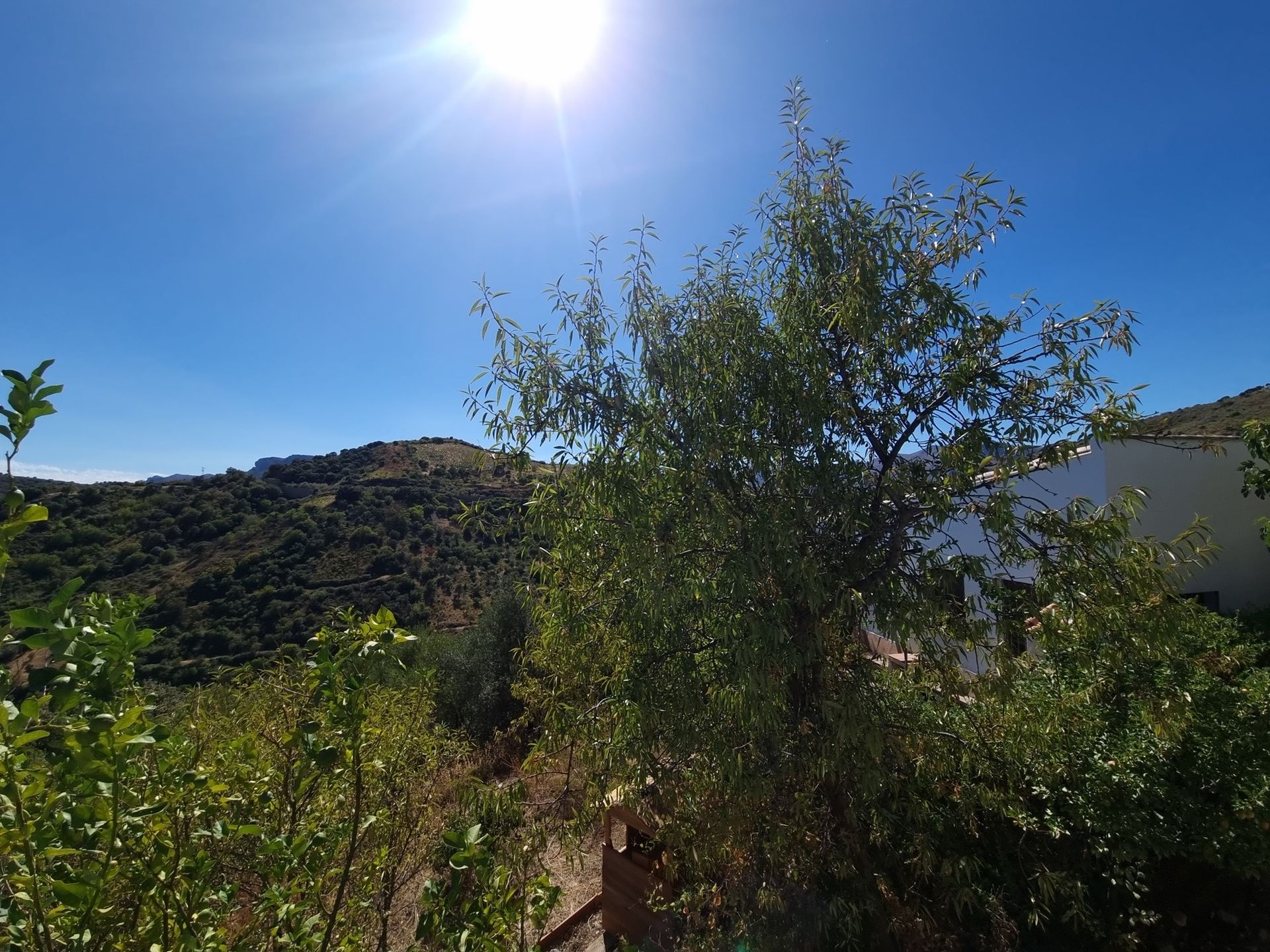 casa no Ronda, Andaluzia 10962915