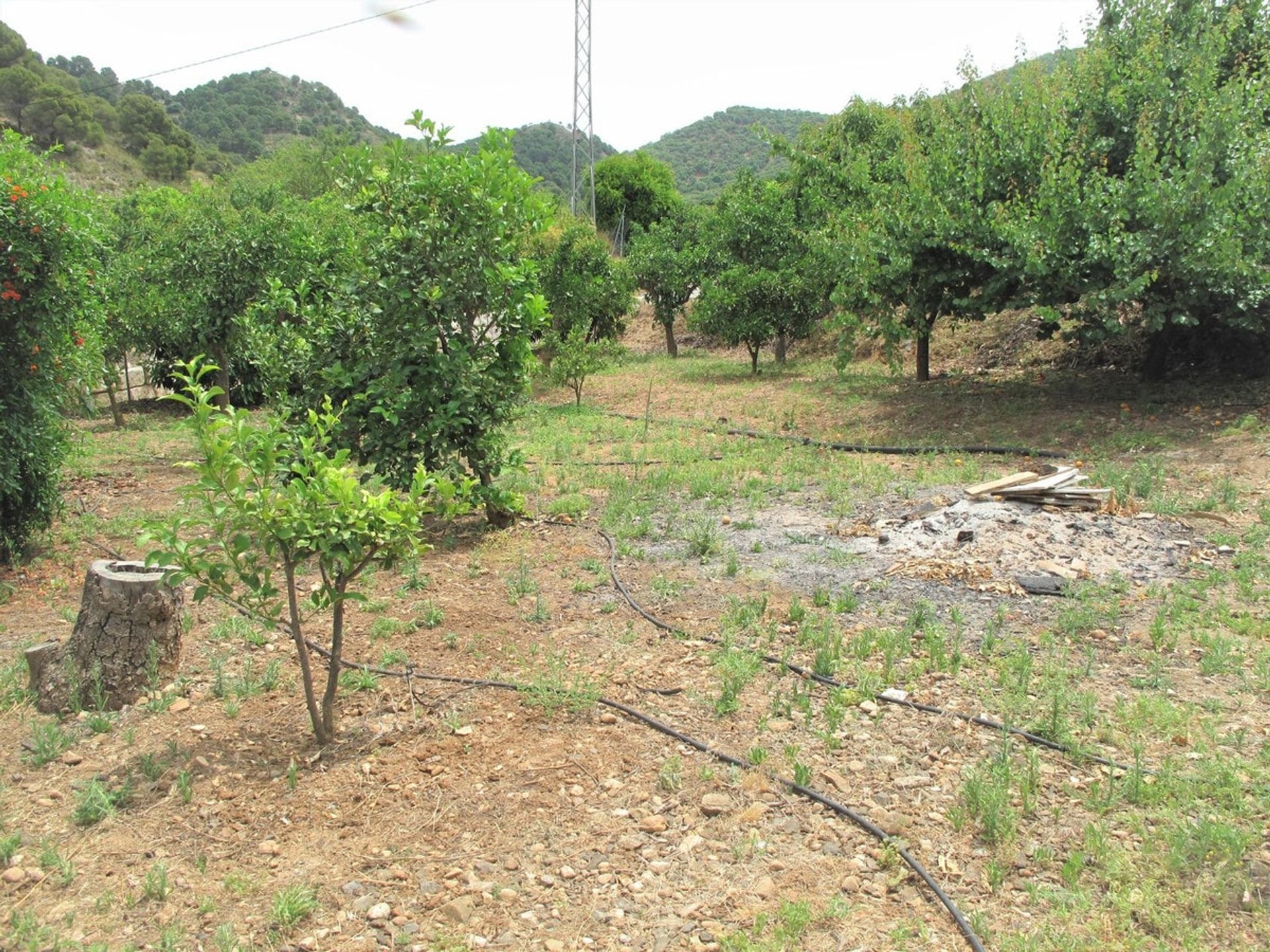 casa en Monda, Andalucía 10963142