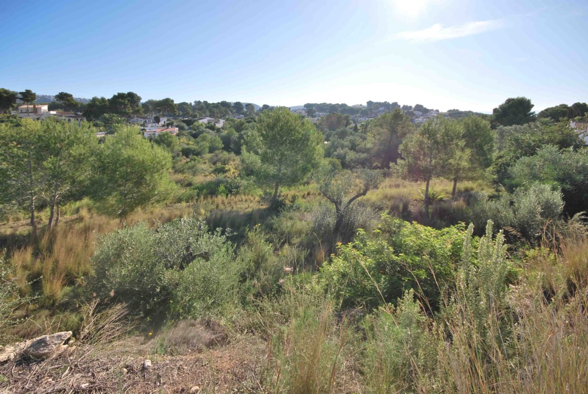 Land in Teulada, Comunidad Valenciana 10963416