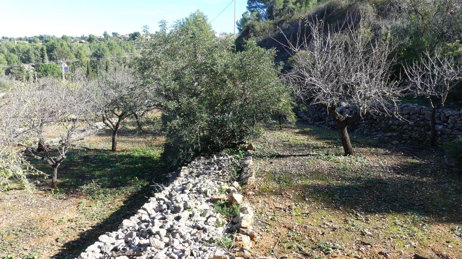 Casa nel Llíber, Comunidad Valenciana 10963620