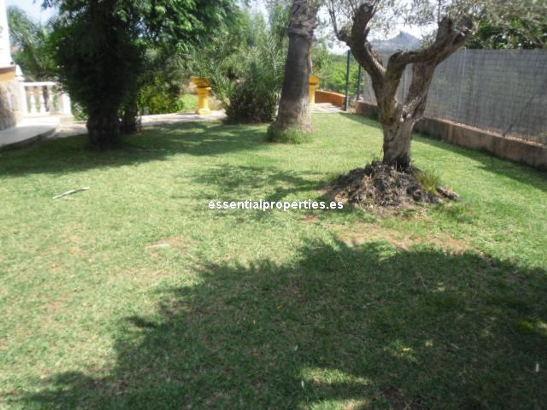 casa en Pedreguer, Comunidad Valenciana 10963782