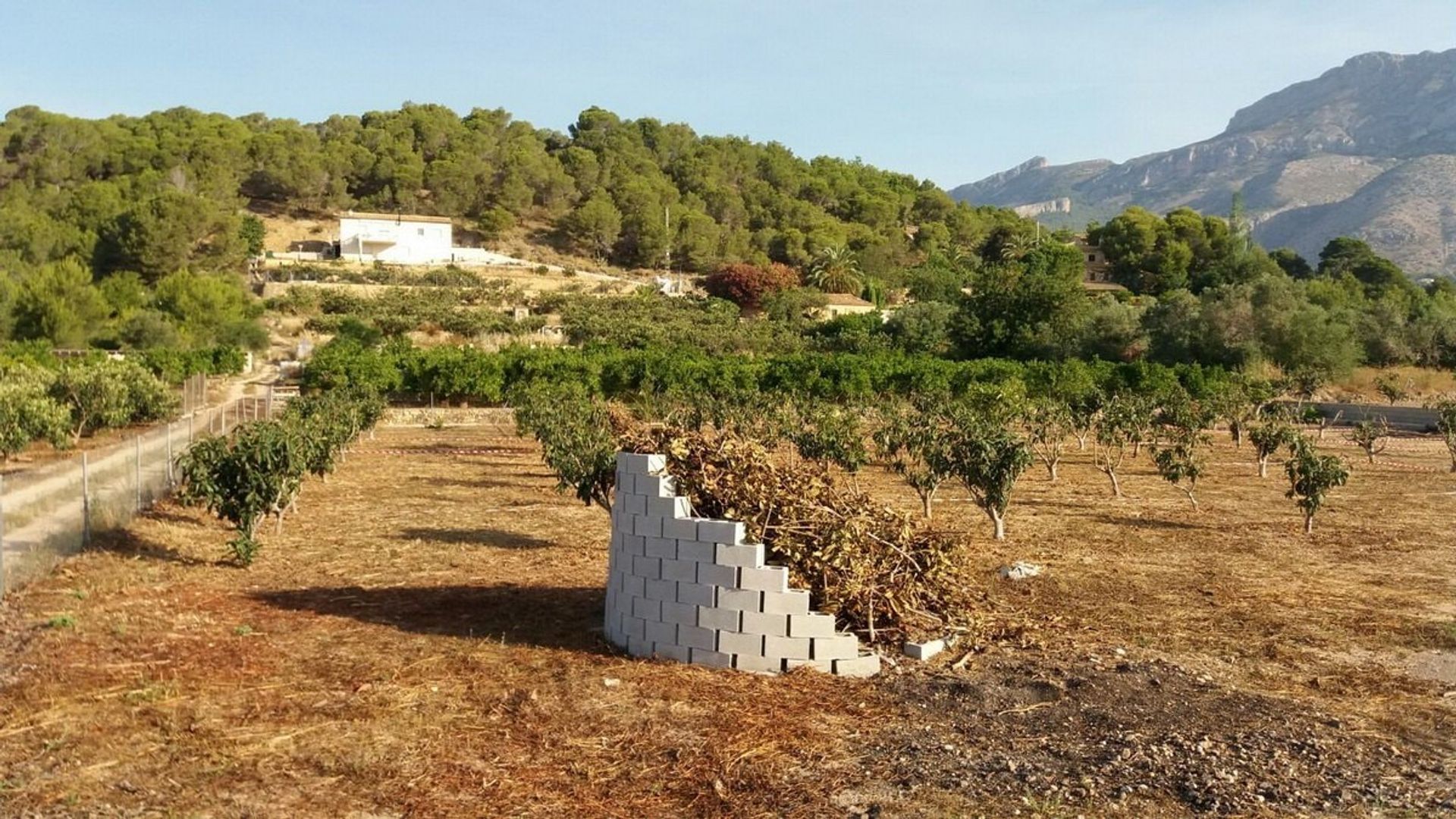 Land in Altea la Vieja, Valencia 10965224