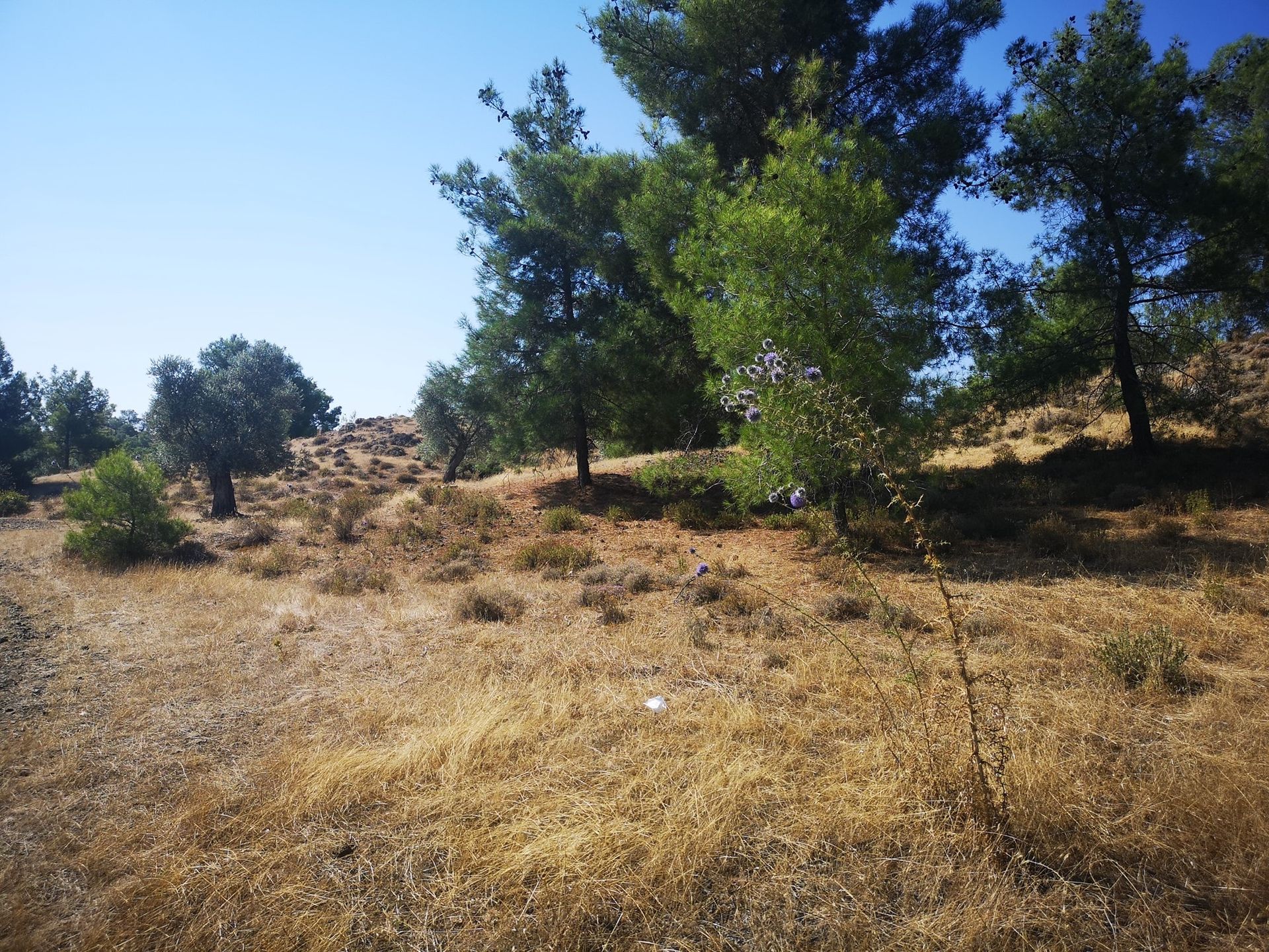 Land in Psimolofou, Lefkosia 10967215