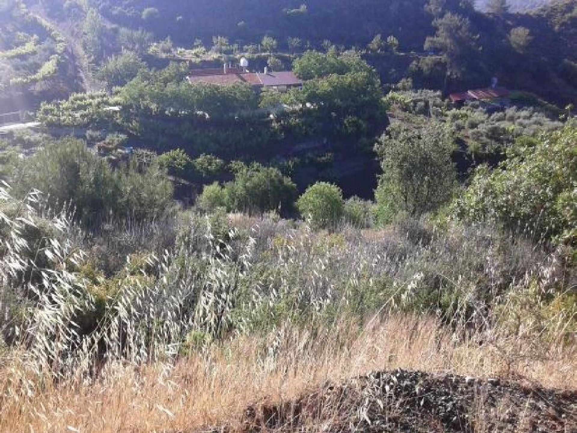 Land in Palodeia, Lemesos 10967477