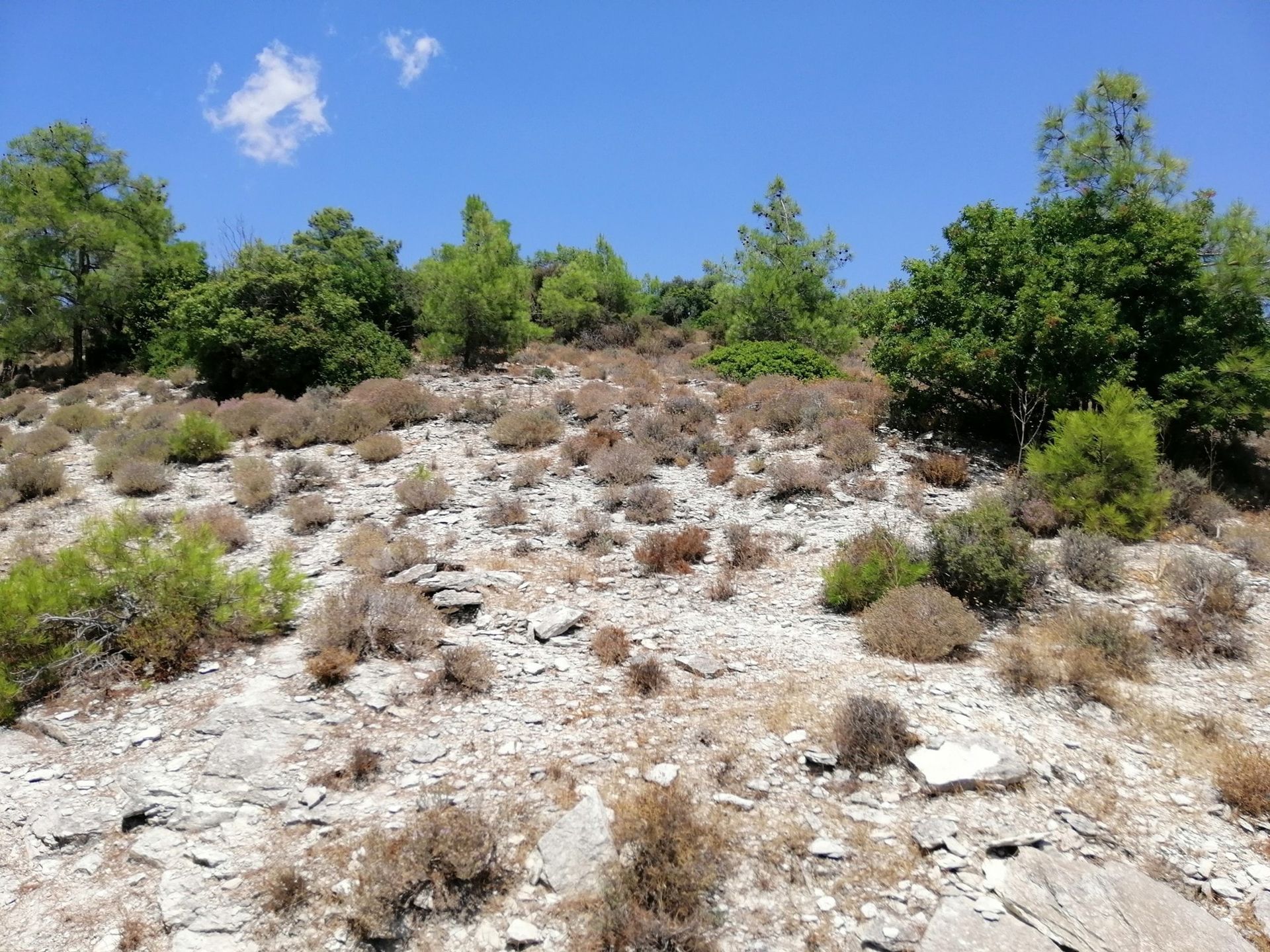 Land i Pano Lefkara, Larnaka 10968101