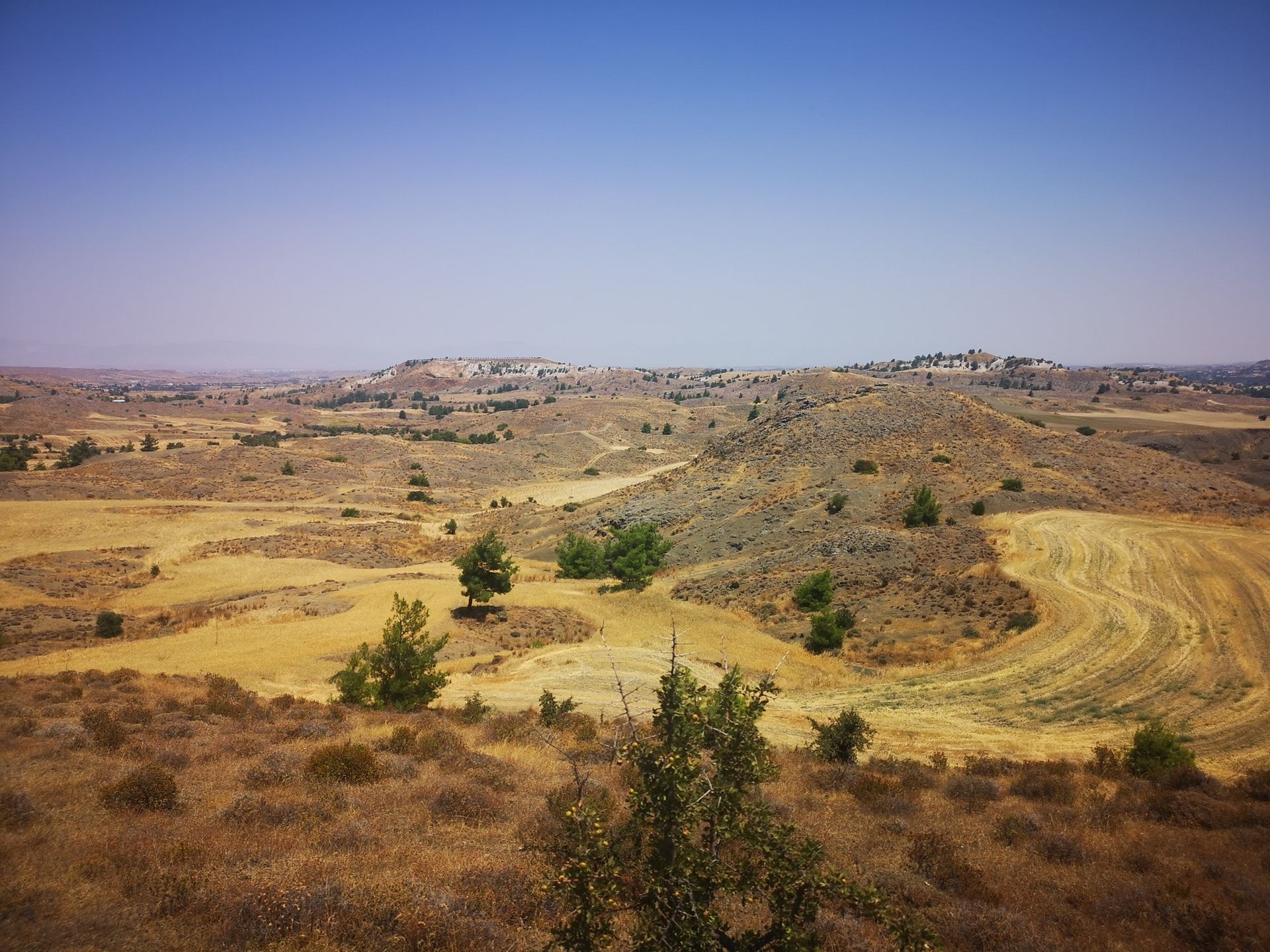 Land i Psimolofou, Lefkosia 10968102