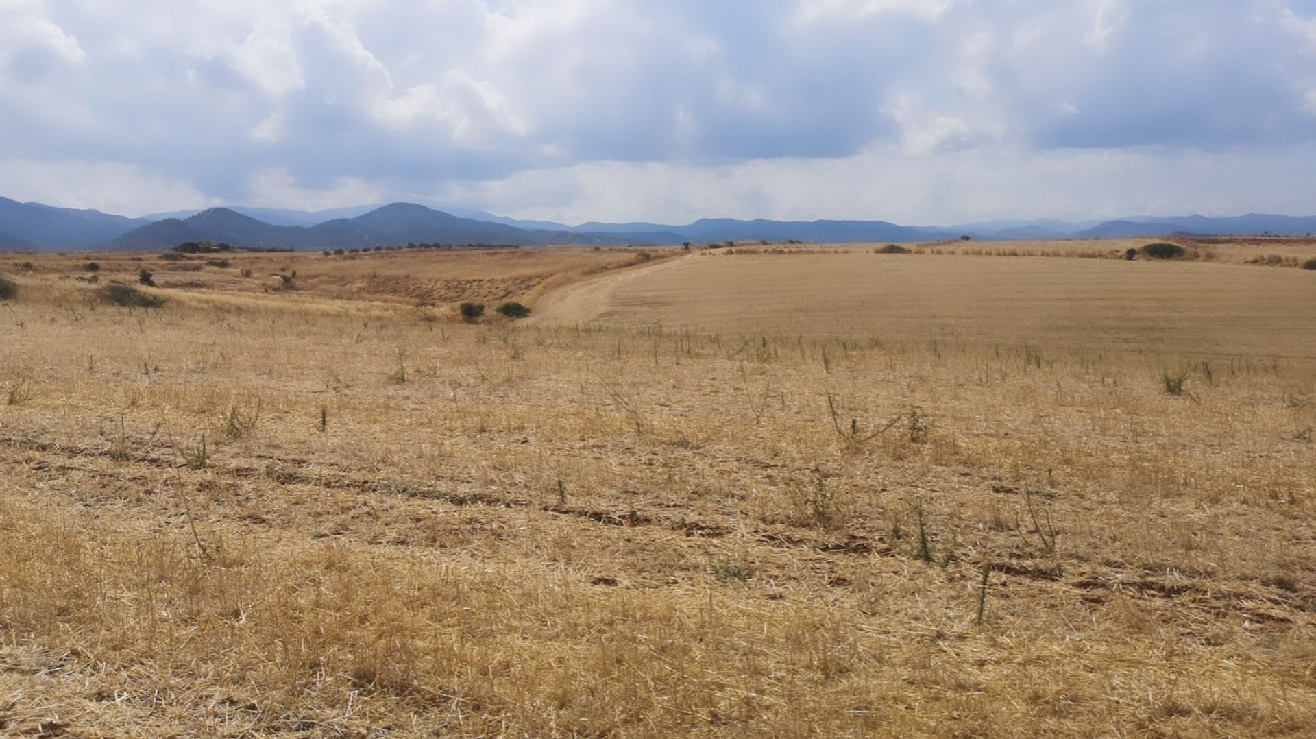 Γη σε Κοκκινοτριμιθιάς, Λευκωσία 10968107