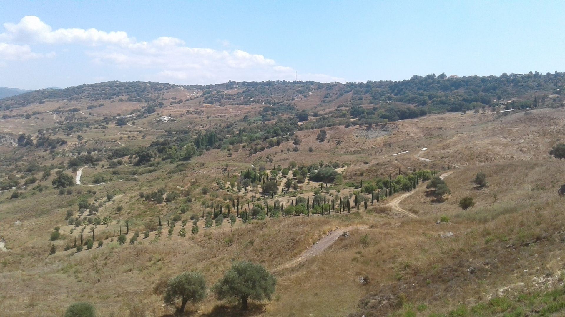 Land in Tala, Pafos 10968160