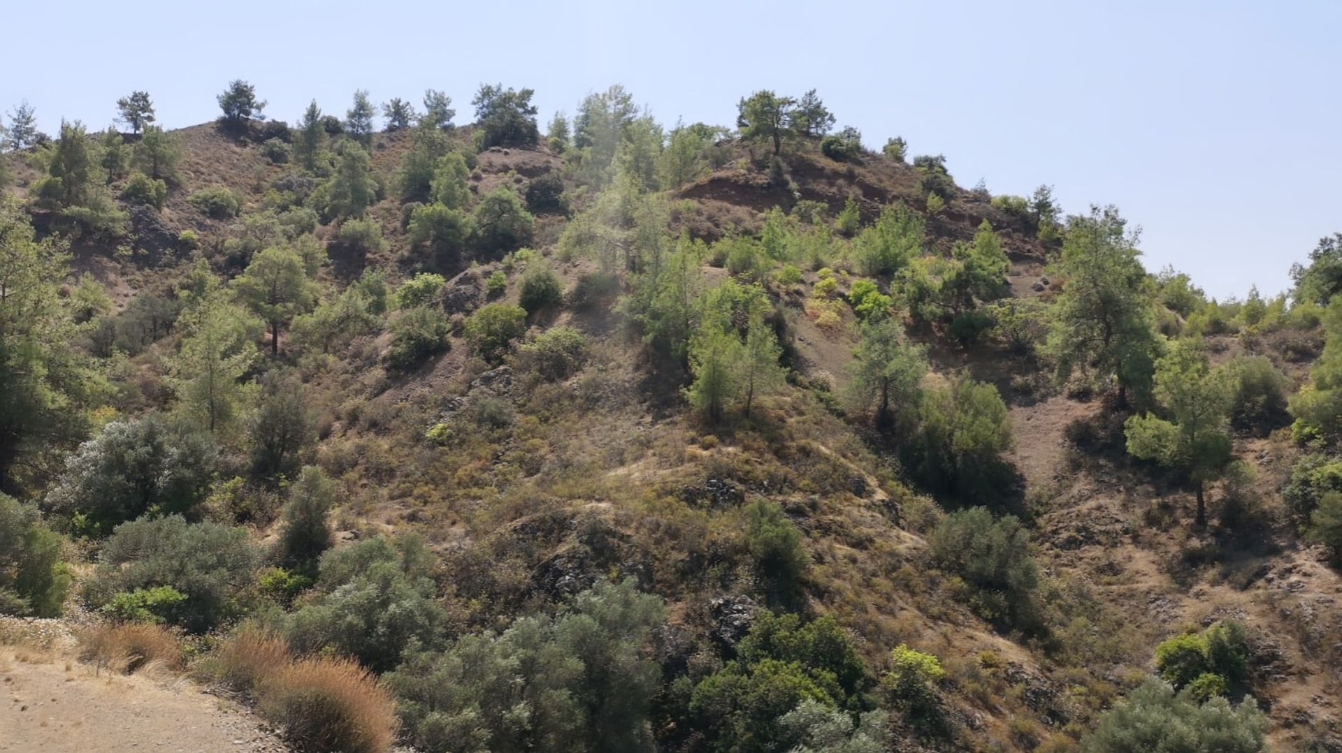 Terre dans Palodée, Lémésos 10968173