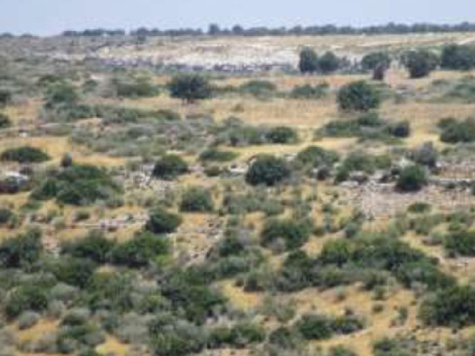 Land in Taşlıca, Limasol 10968185