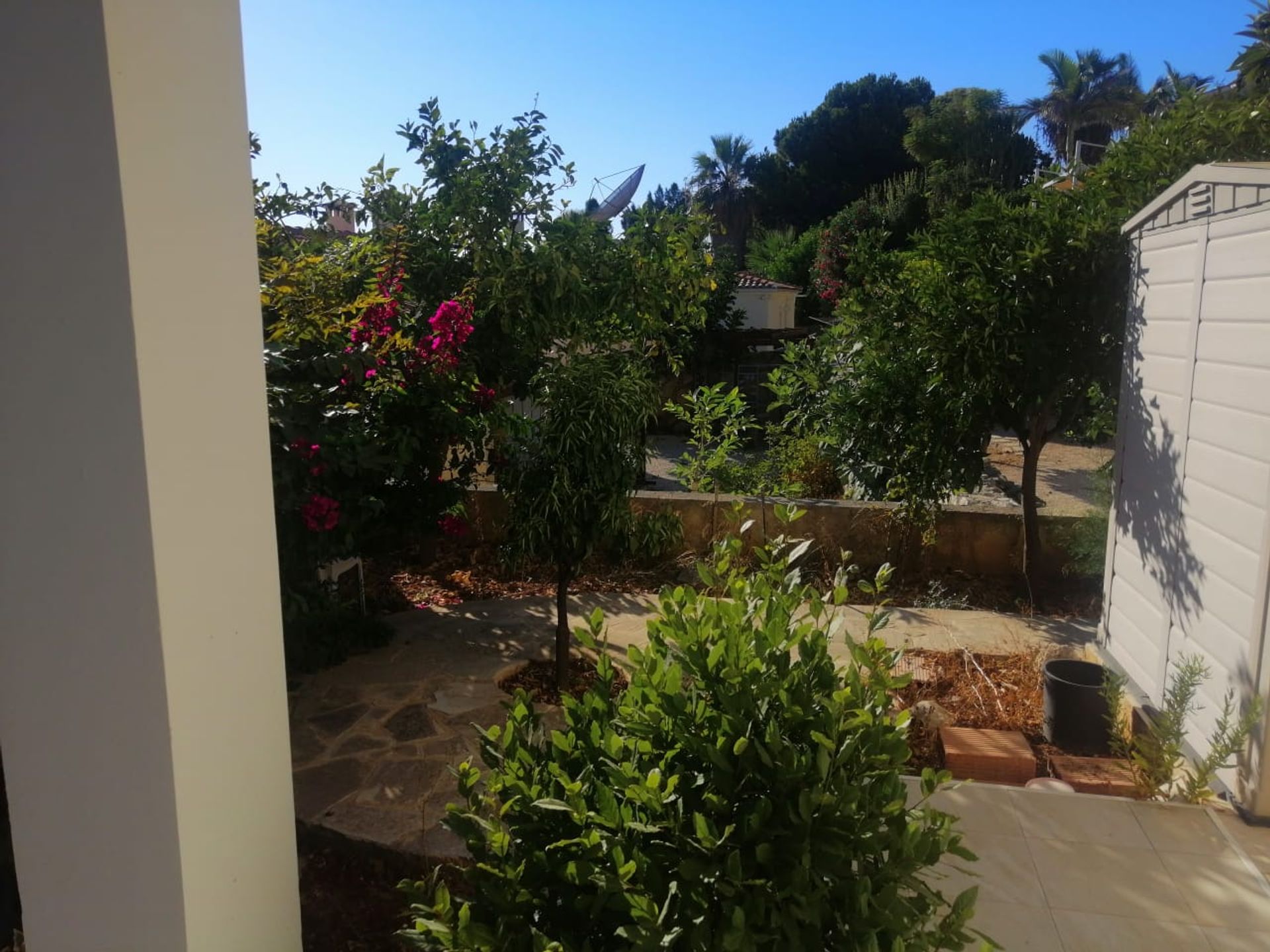 Huis in Tremithousa, Paphos 10968851