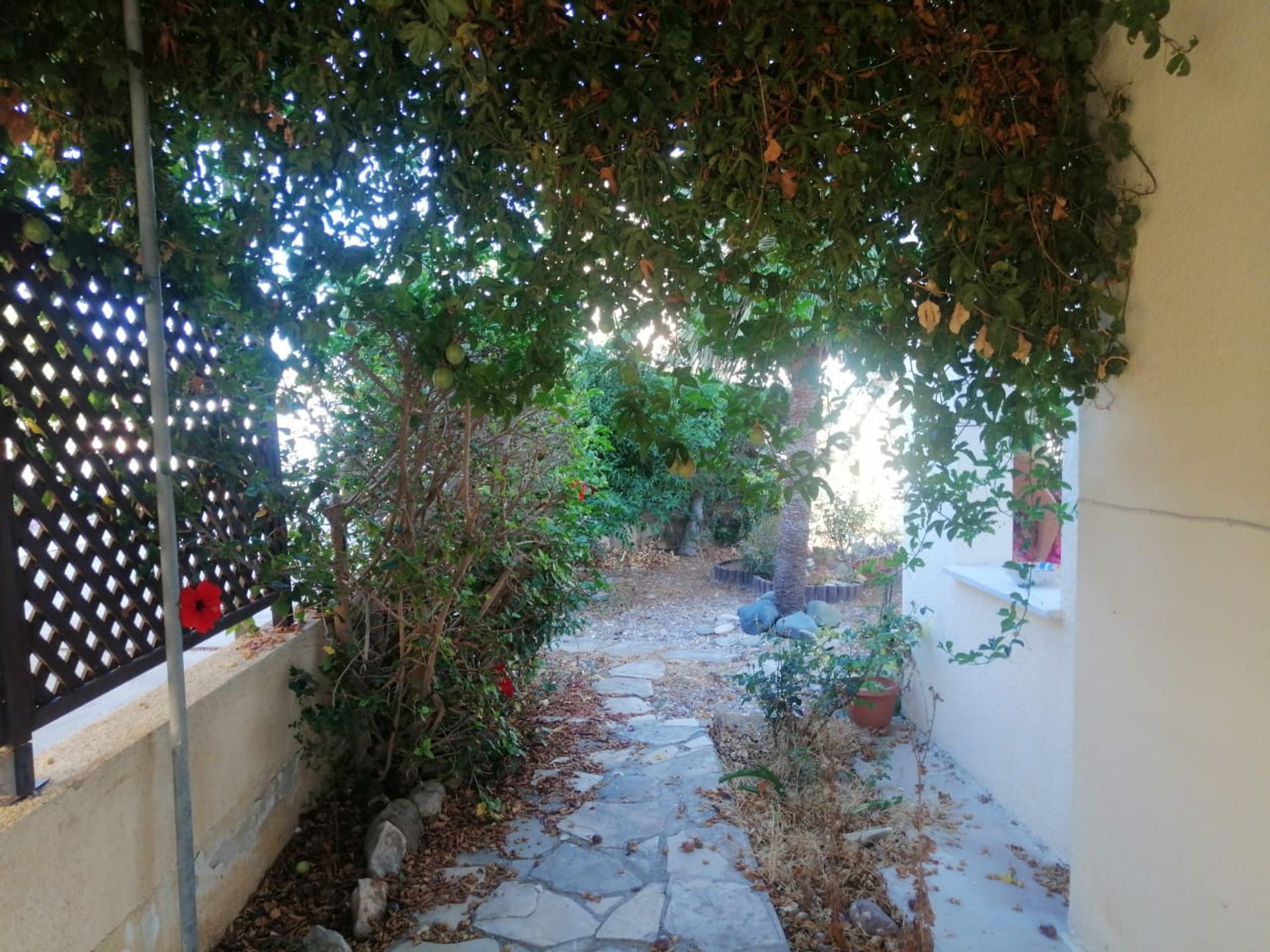 Huis in Tremithousa, Paphos 10968851