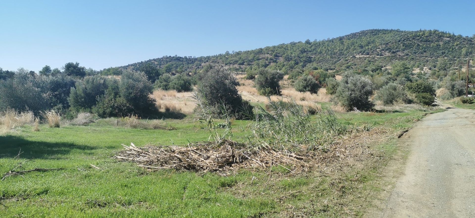 Land i Agios Tychon, Larnaka 10969058