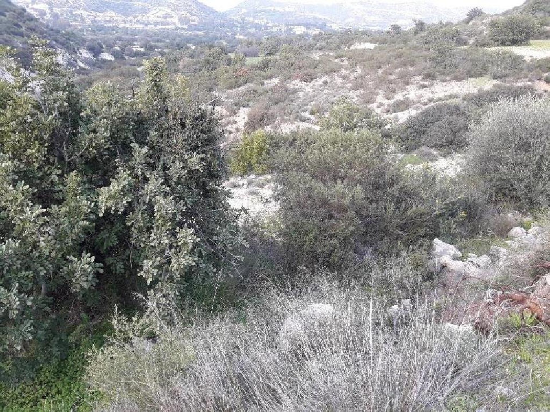 Land i Palodeia, Lemesos 10969229