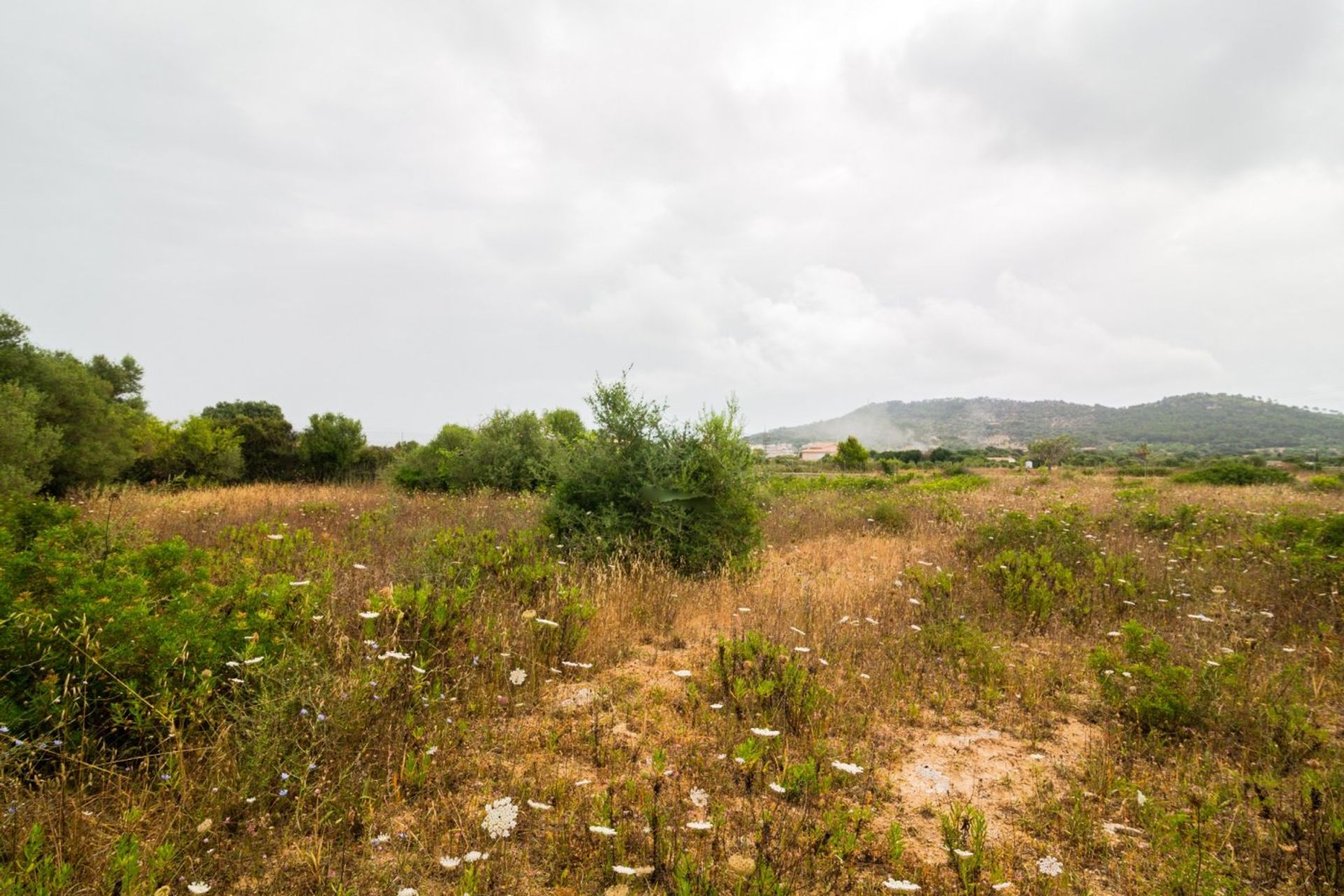 Land in Capdepera, Illes Balears 10969583