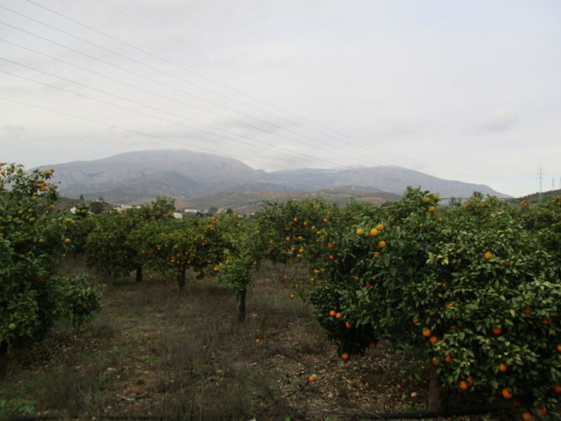 loger dans Álora, Andalucía 10969693