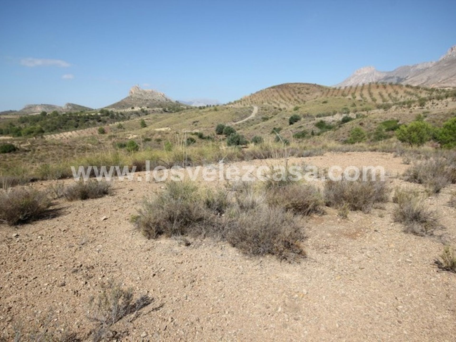 Land in Murcia, Murcia 10969701