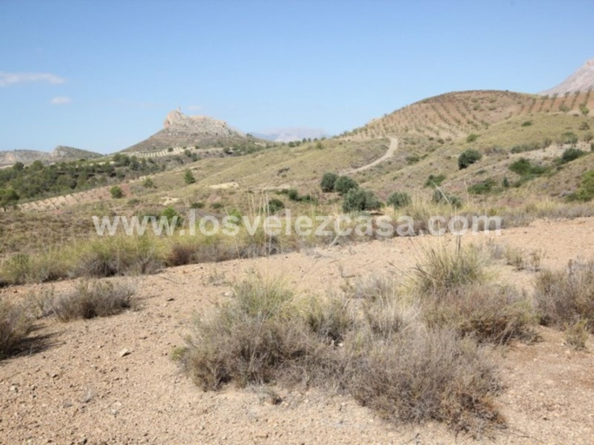 Land in Murcia, Murcia 10969701