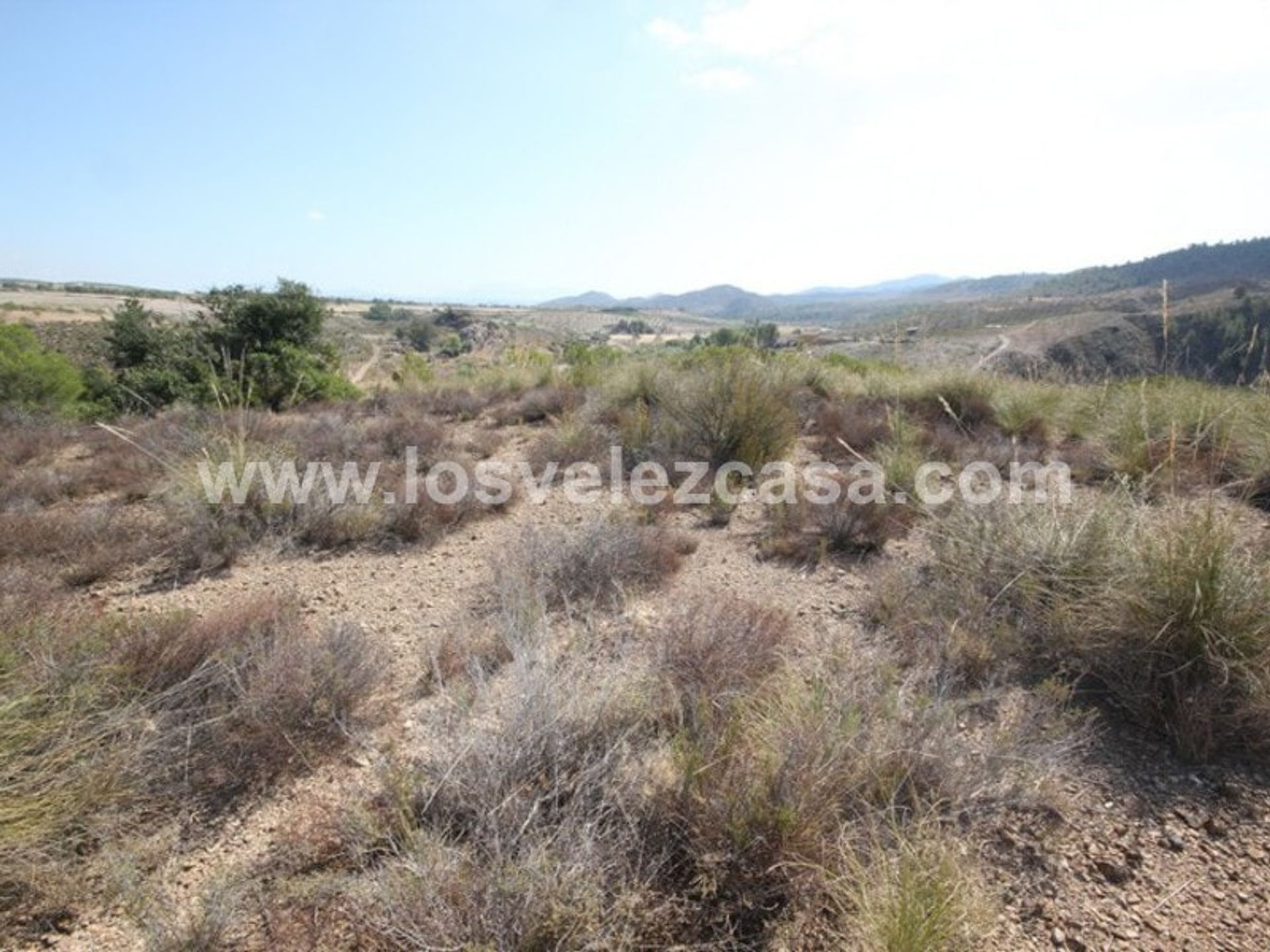 Land in Murcia, Murcia 10969701