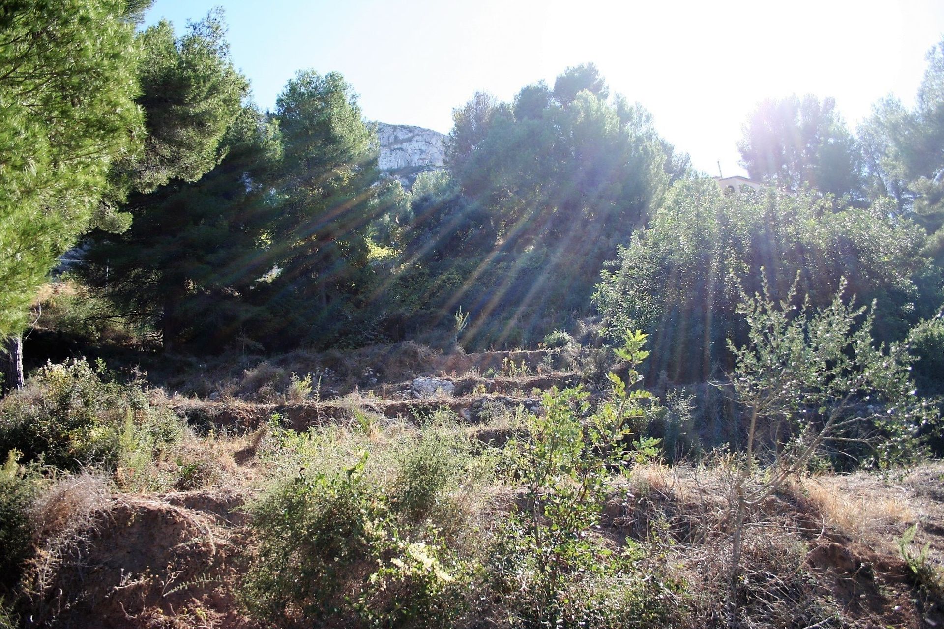 Terre dans Ráfol de Almunia, Comunidad Valenciana 10969720