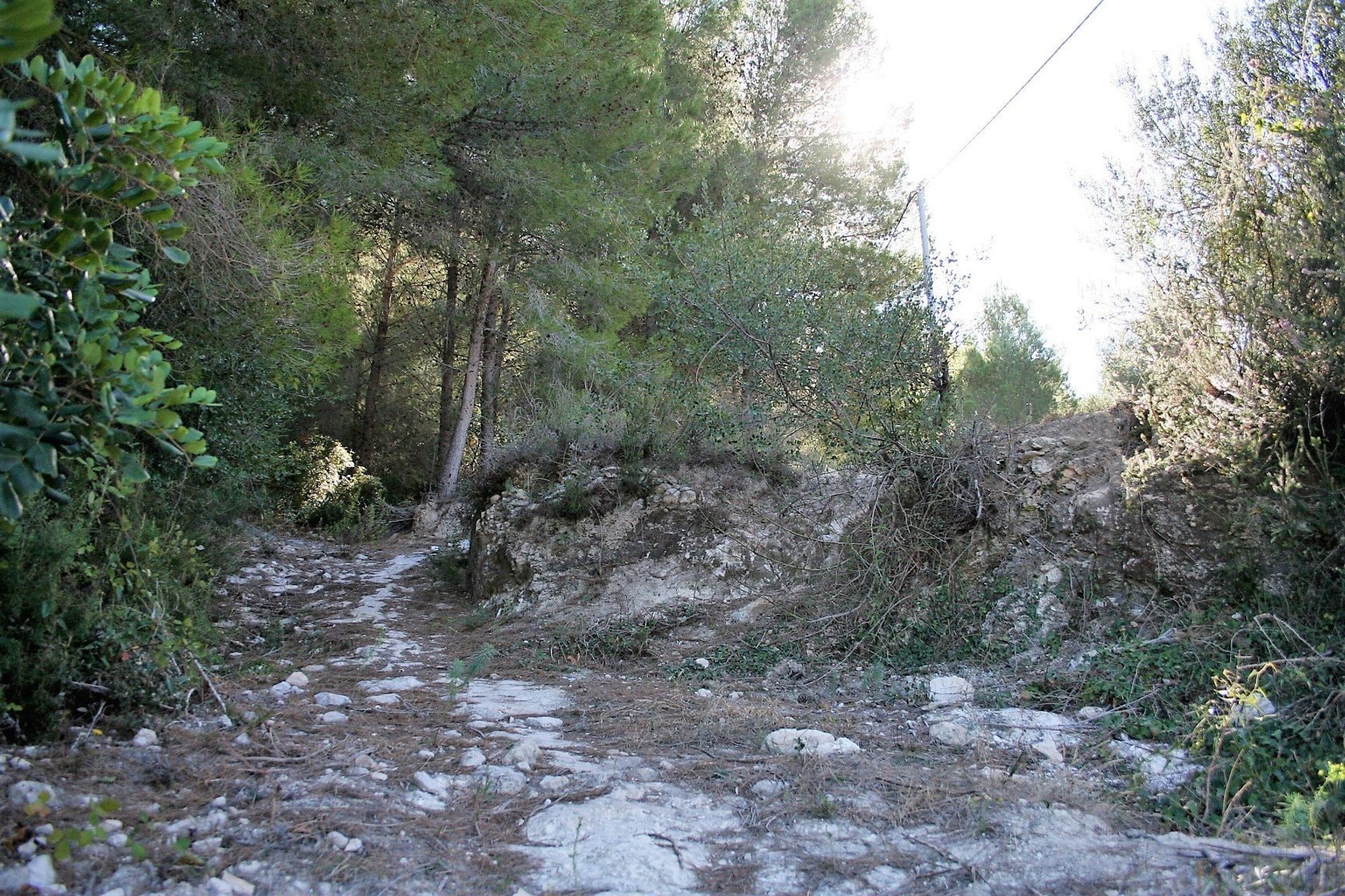 Tanah dalam Ráfol de Almunia, Comunidad Valenciana 10969720