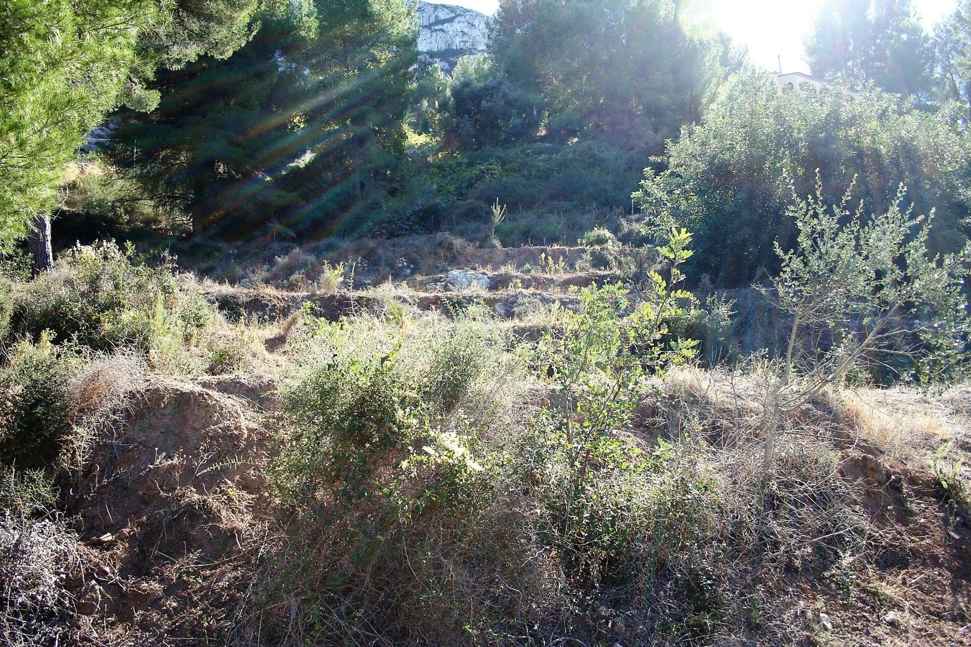 Terre dans Ráfol de Almunia, Comunidad Valenciana 10969720