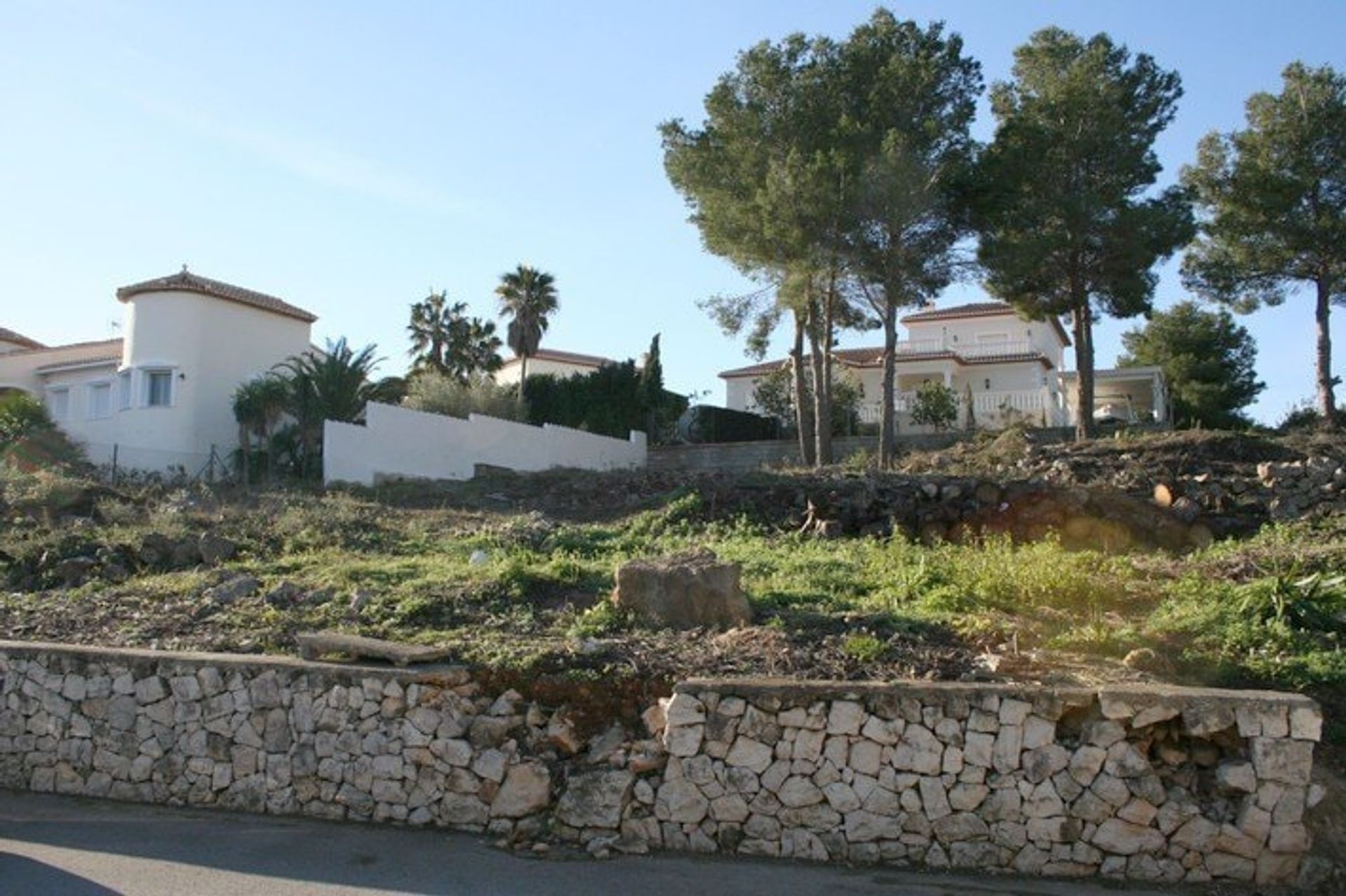 Land i Denia, Valencia 10969738