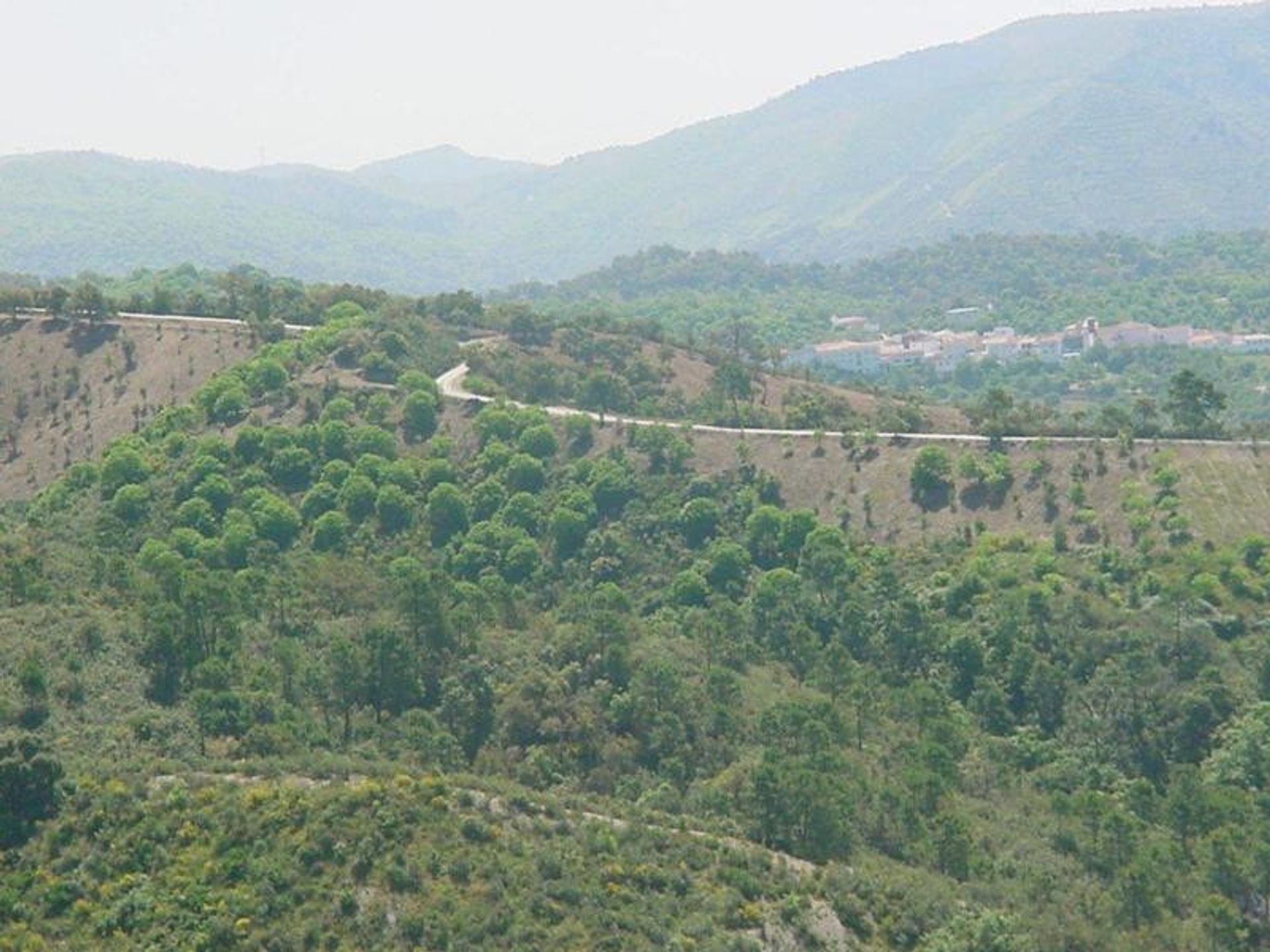 Land i Ronda, Andalusia 10969800