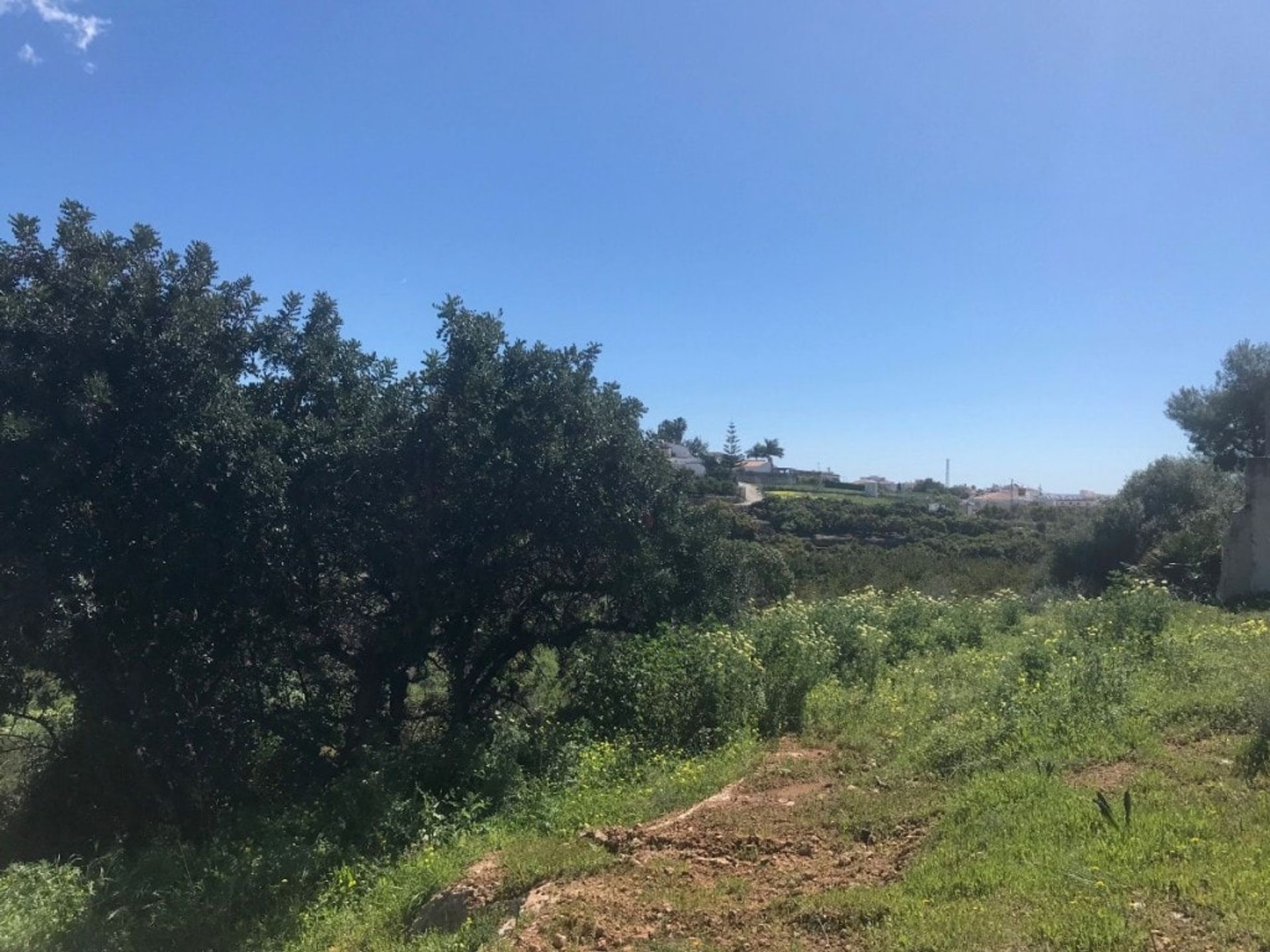 Land in Frigiliana, Andalusië 10969827