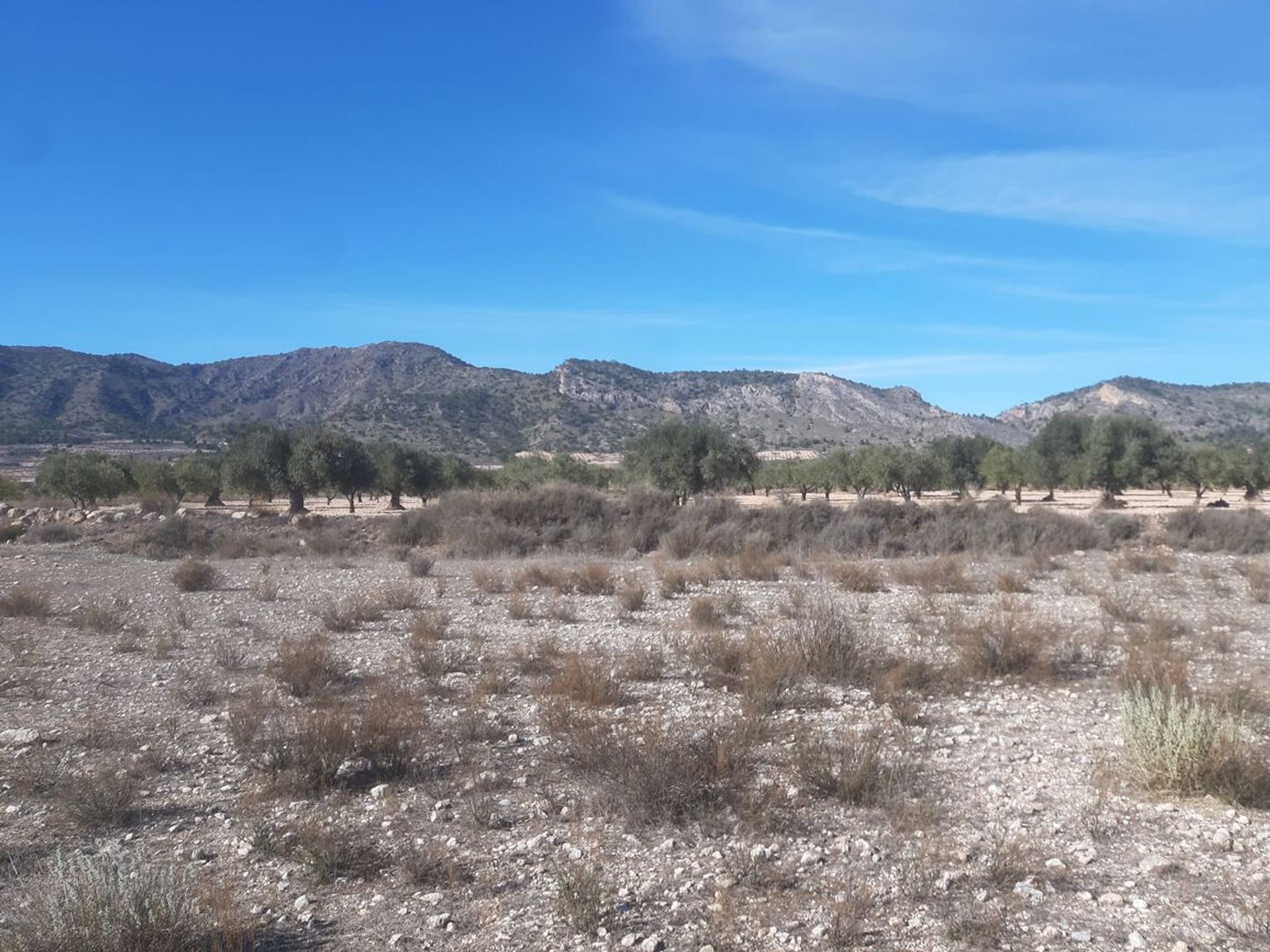 ארץ ב les Salines d'Elda, Comunidad Valenciana 10969866