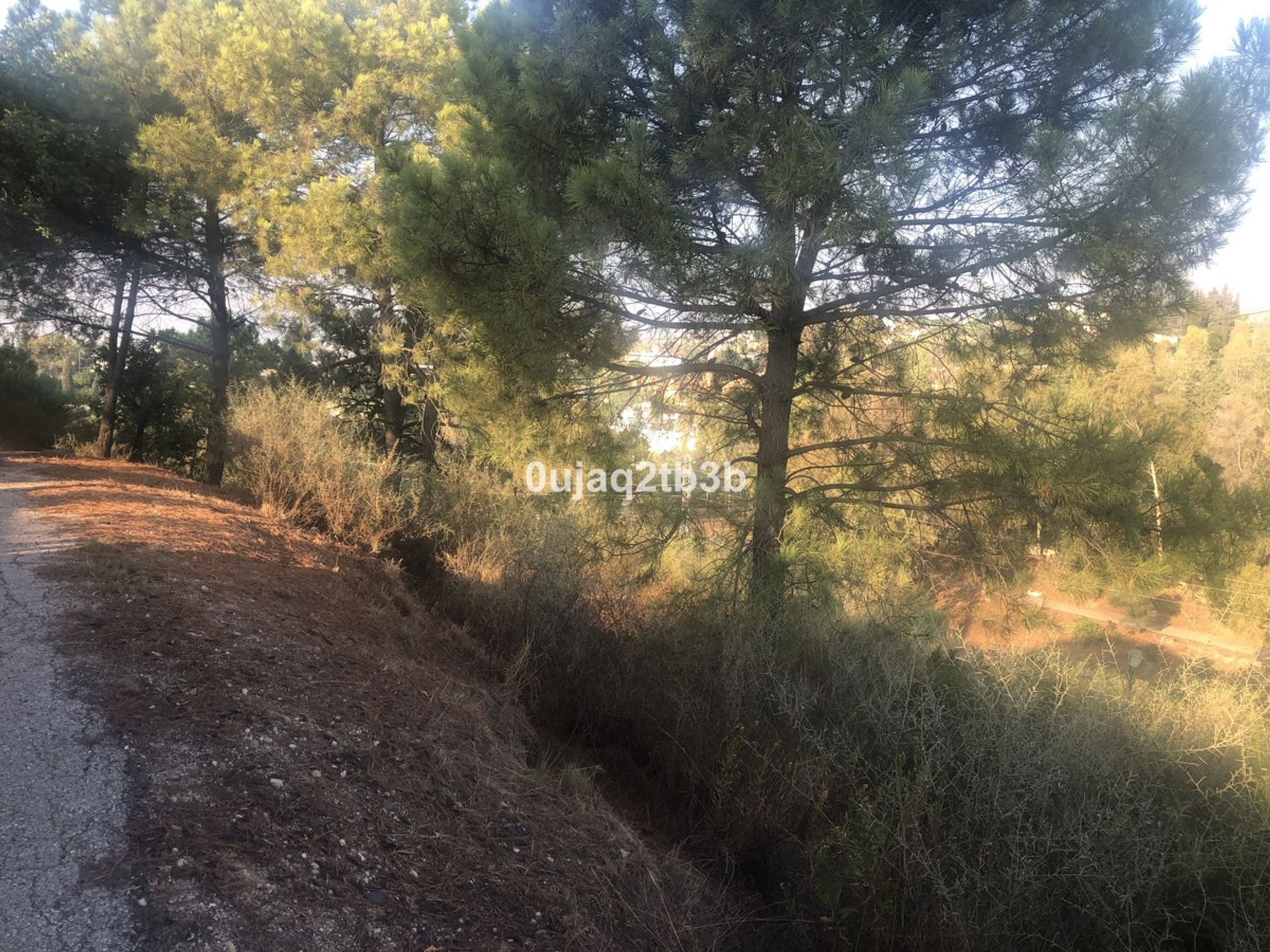 Land i Benahavis, Andalusia 10970158