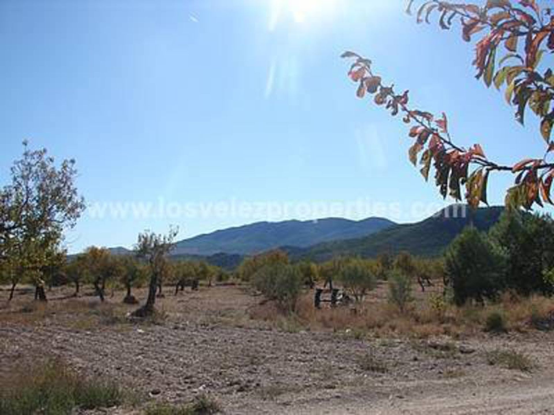 בַּיִת ב Vélez-Rubio, Andalucía 10970201