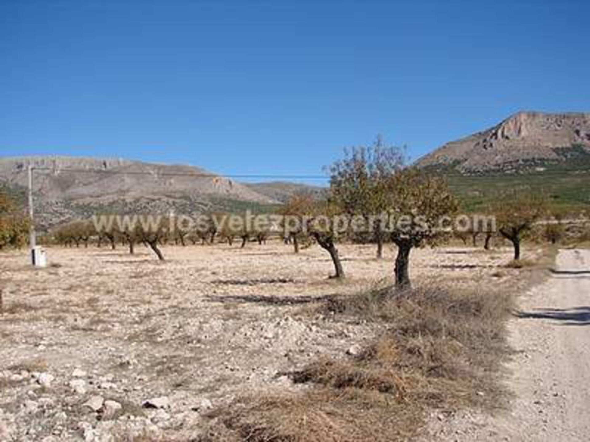 בַּיִת ב Vélez-Rubio, Andalucía 10970201