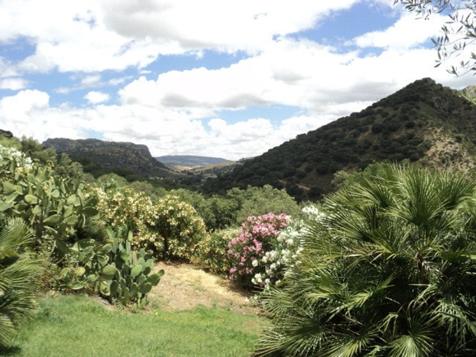 Haus im Benaoján, Andalusien 10970279