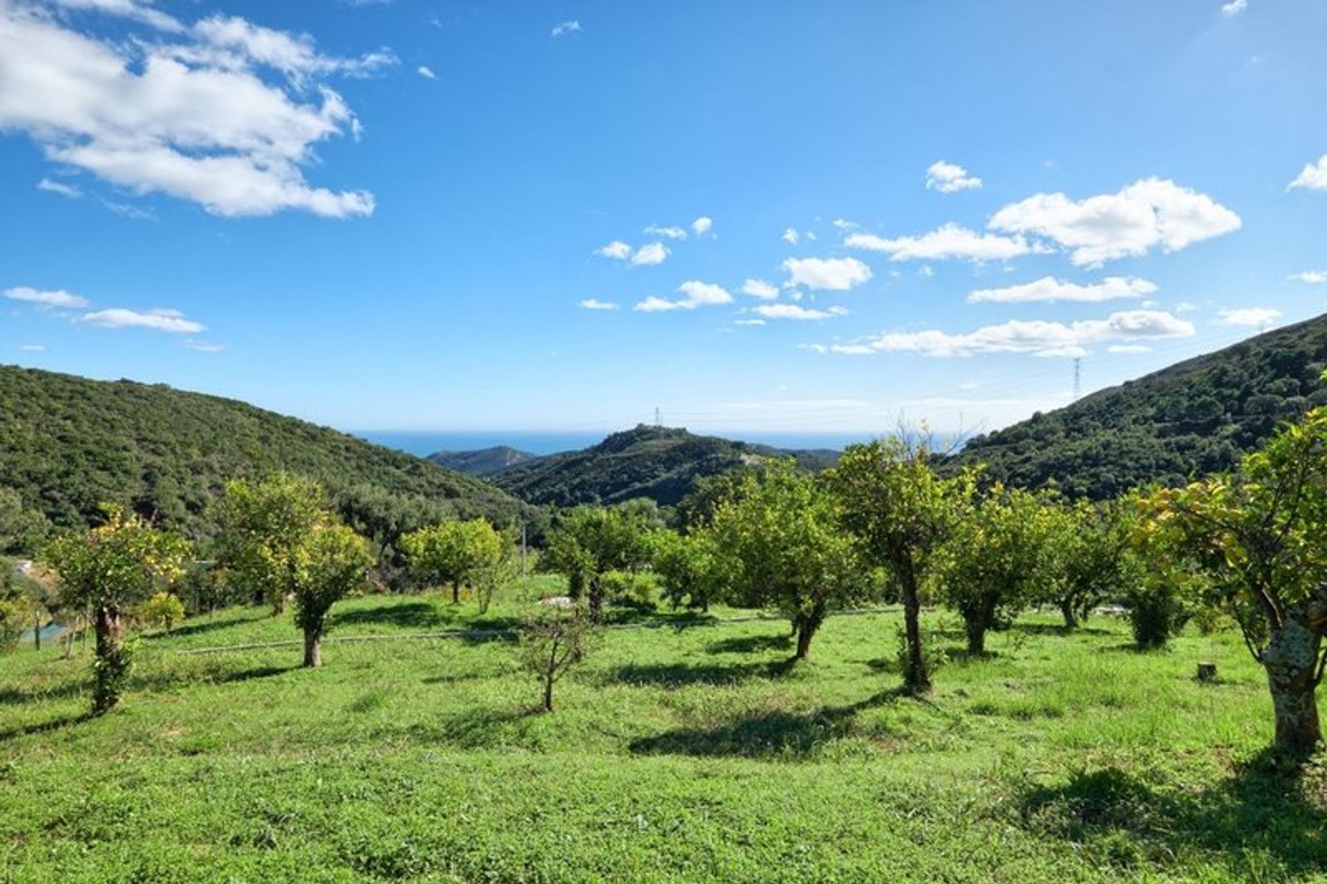 بيت في Estepona, Andalucía 10970539