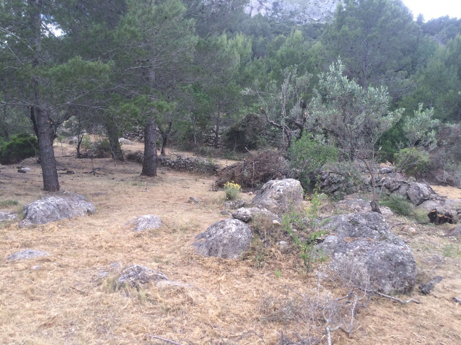 Земля в Castell de Castells, Comunidad Valenciana 10970825