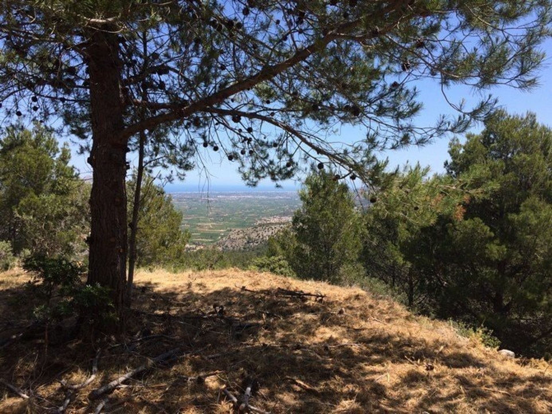 Земельные участки в Castell de Castells, Comunidad Valenciana 10970825