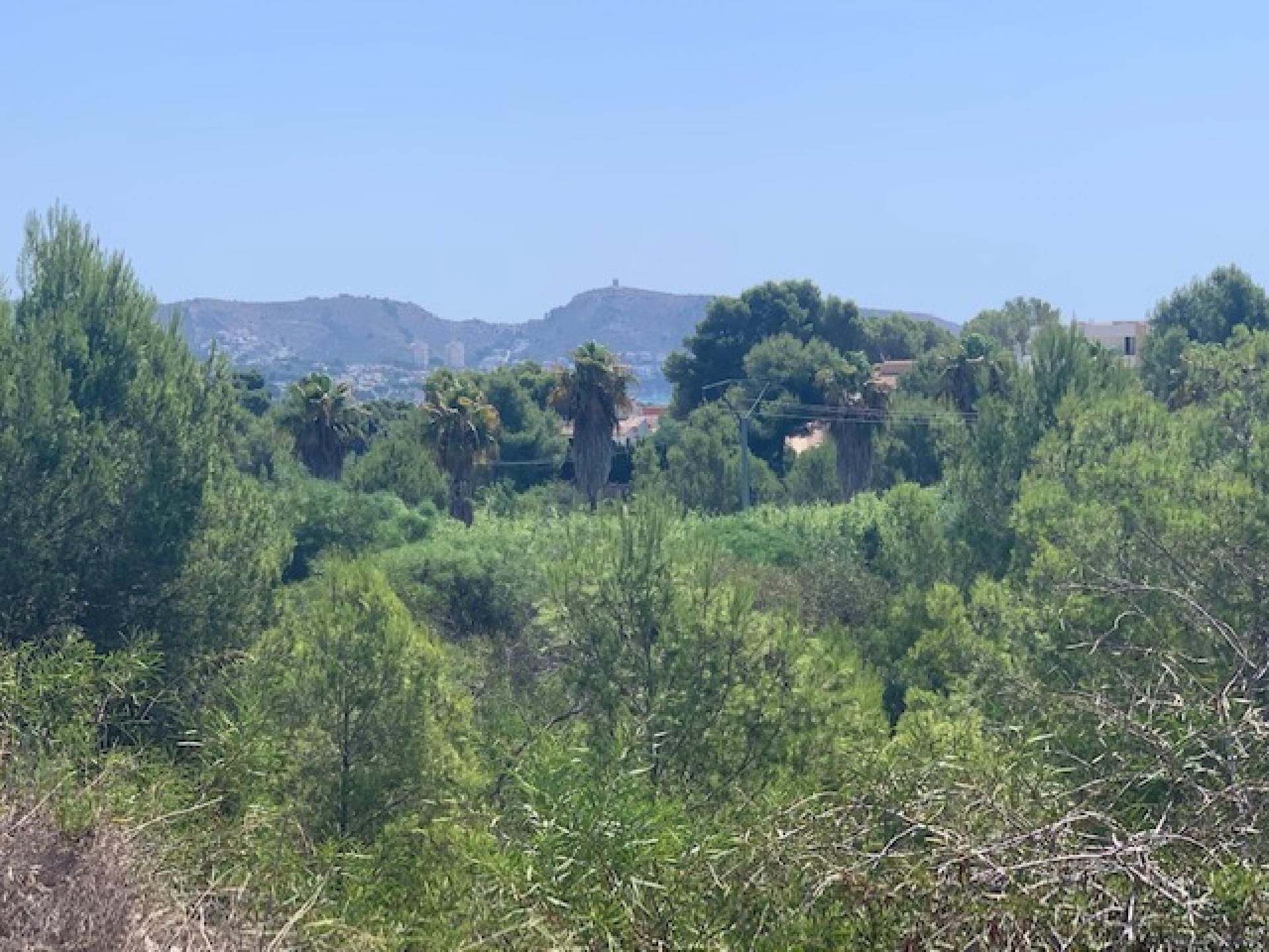 Terre dans Morayra, les îles Canaries 10970845