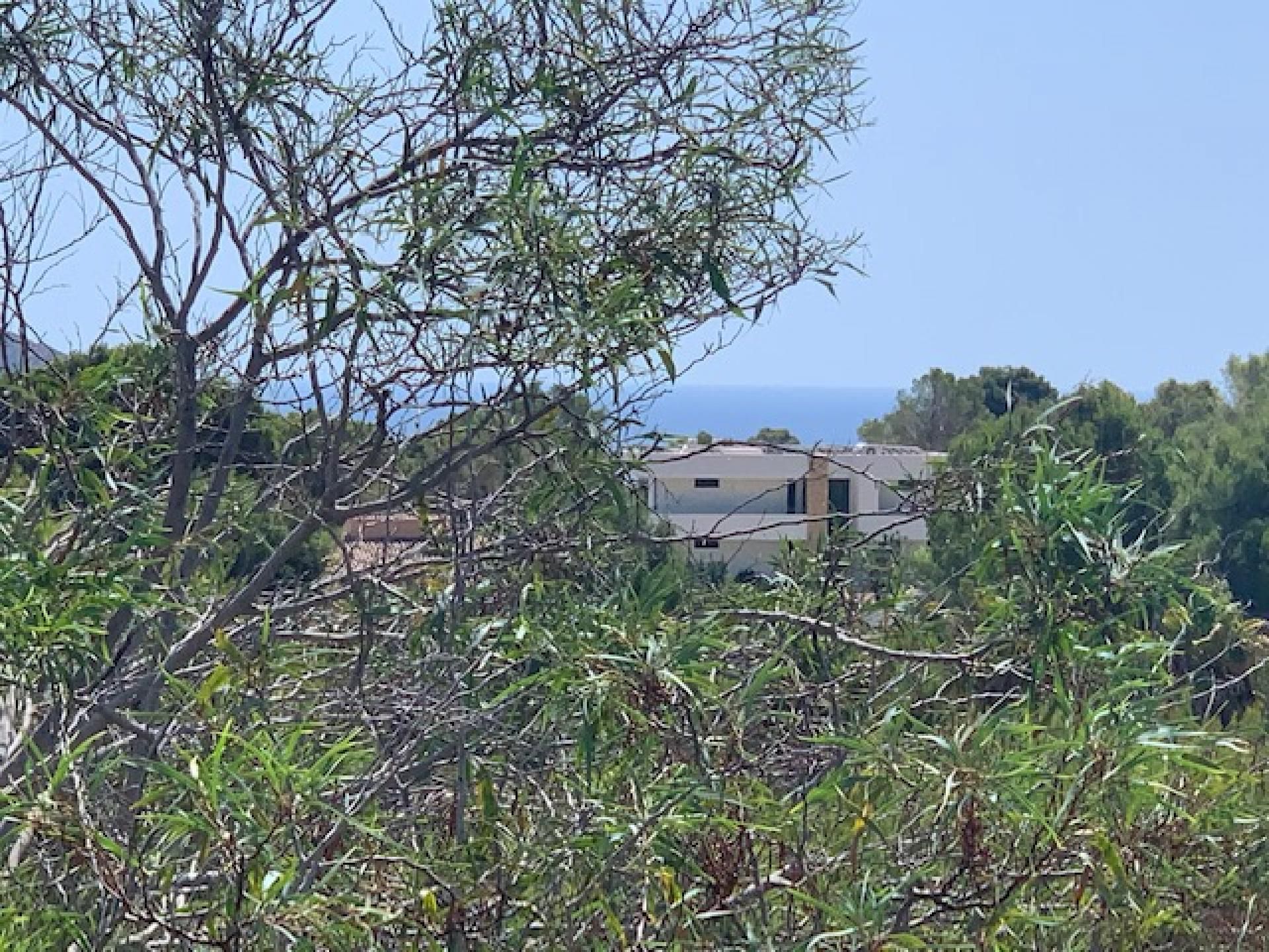 Terre dans Morayra, les îles Canaries 10970845