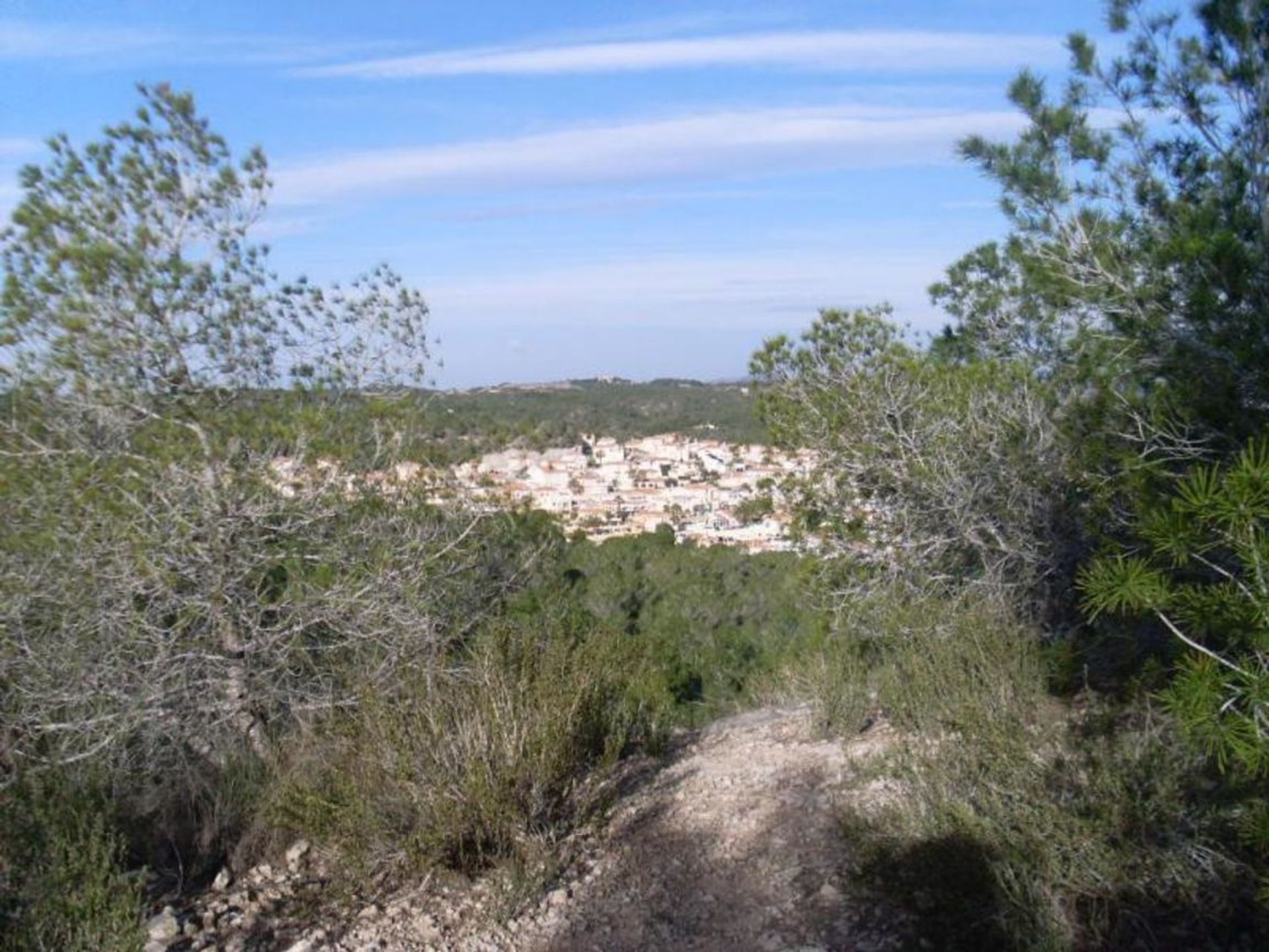 Wylądować w San Miguel de Salinas, Comunidad Valenciana 10971118